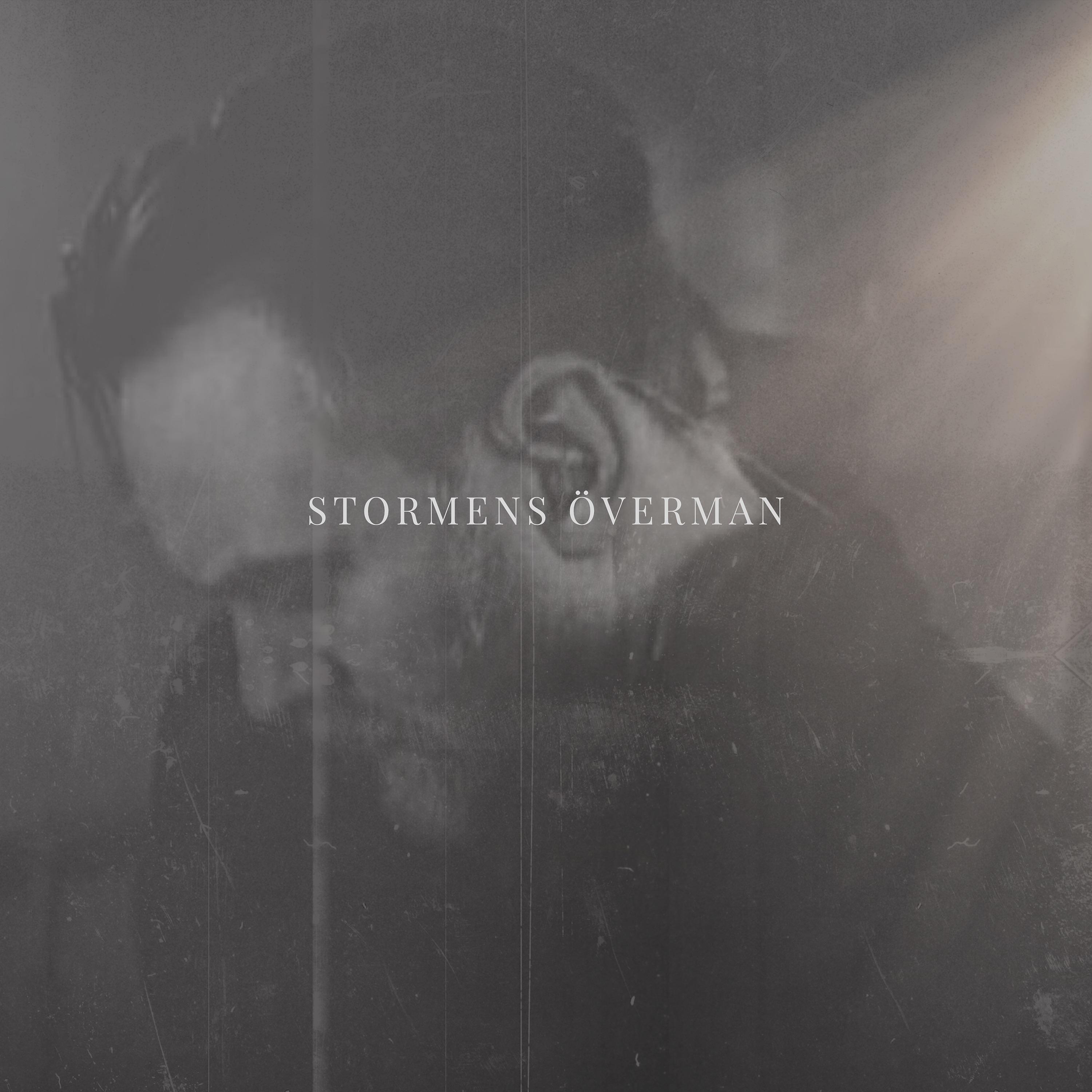 Постер альбома Stormens överman
