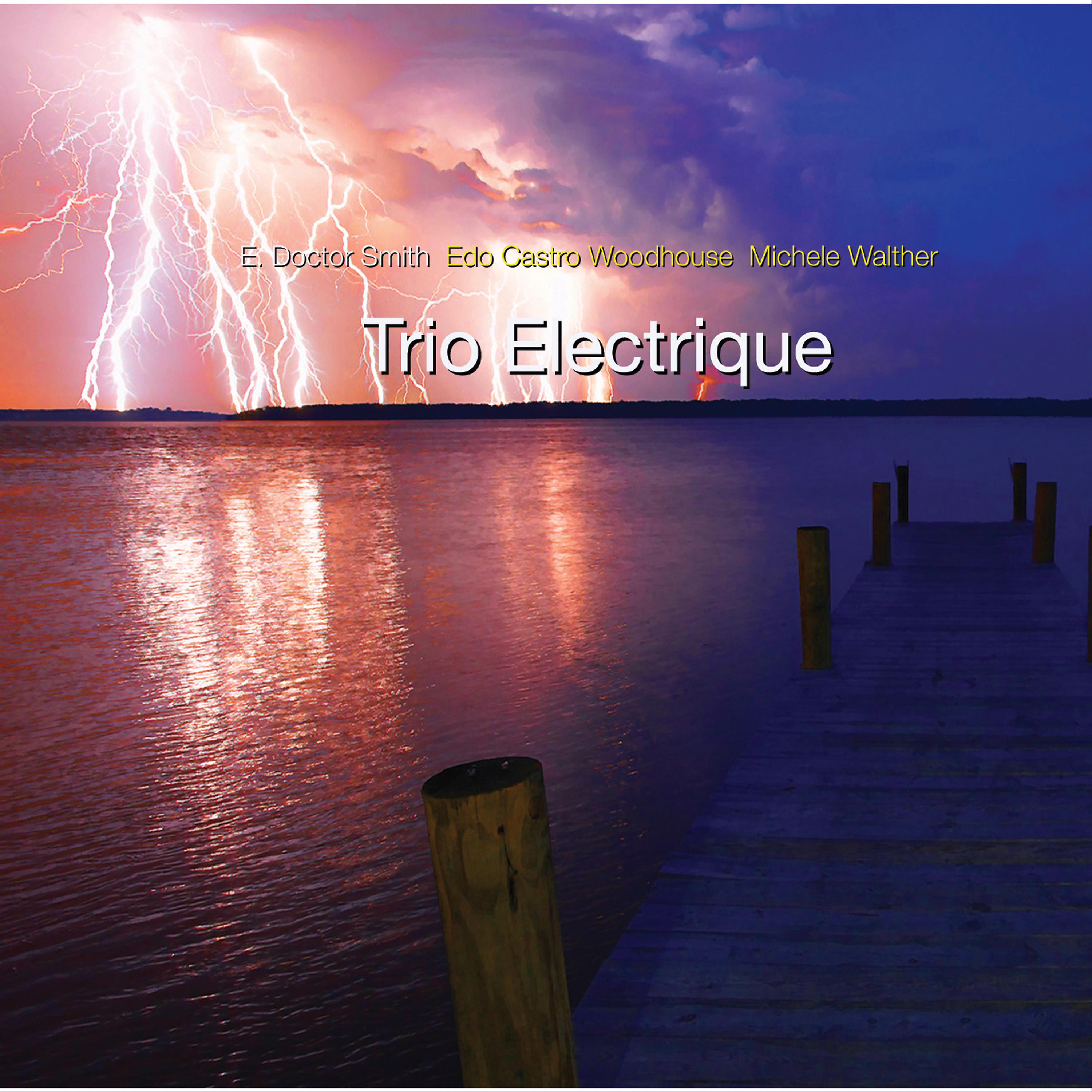 Постер альбома Trio Electrique