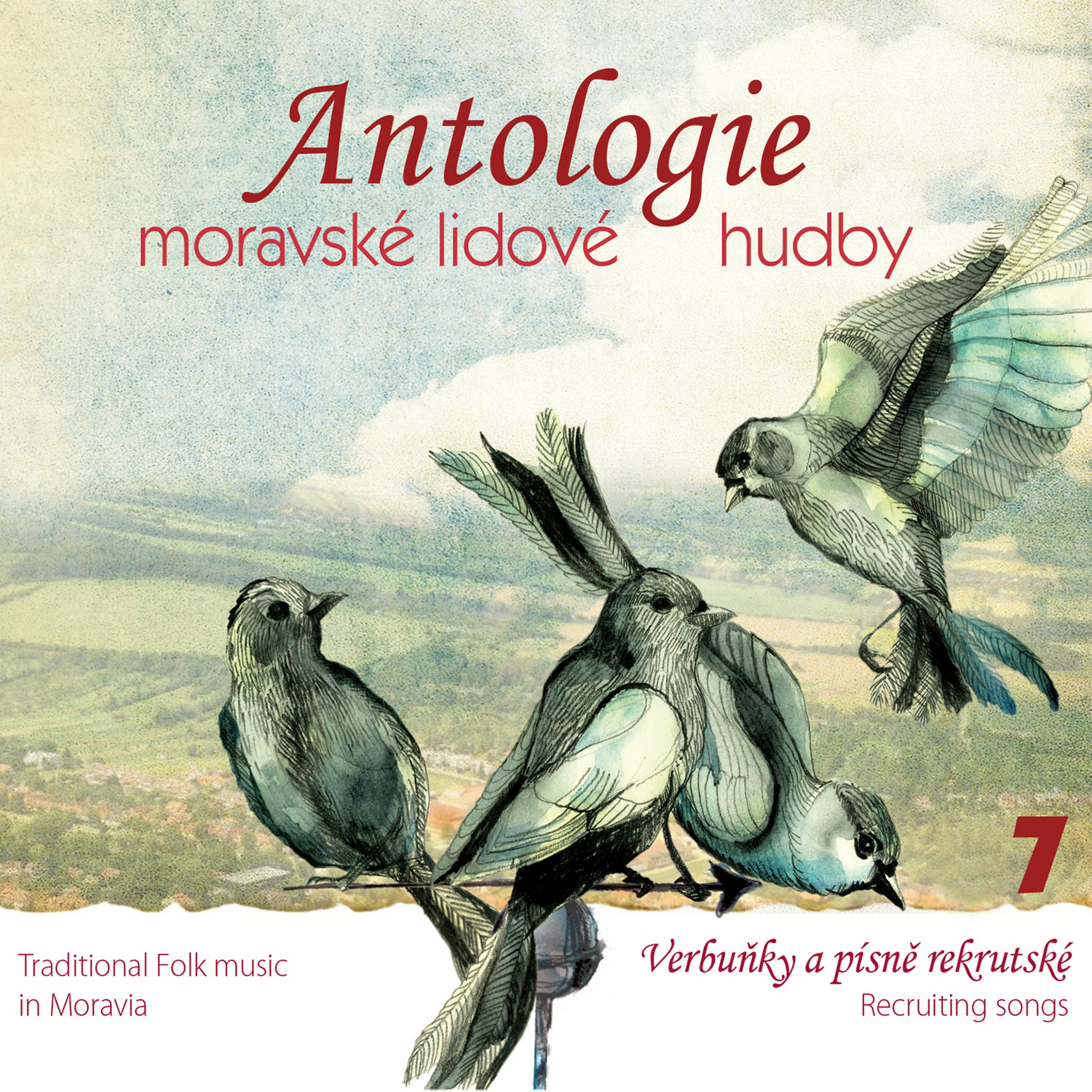 Постер альбома Antologie moravské lidové hudby vol.7 Verbuňky a písně rekrutské