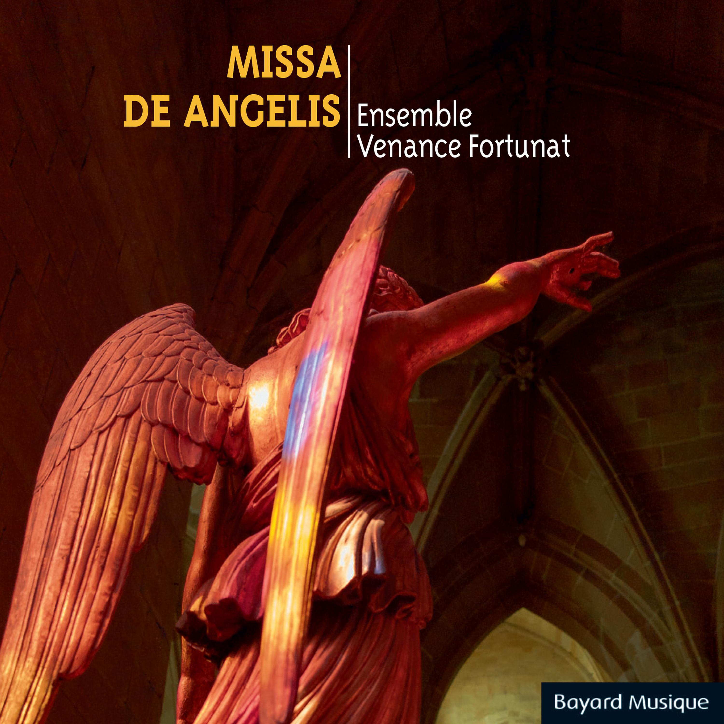 Постер альбома Missa de angelis