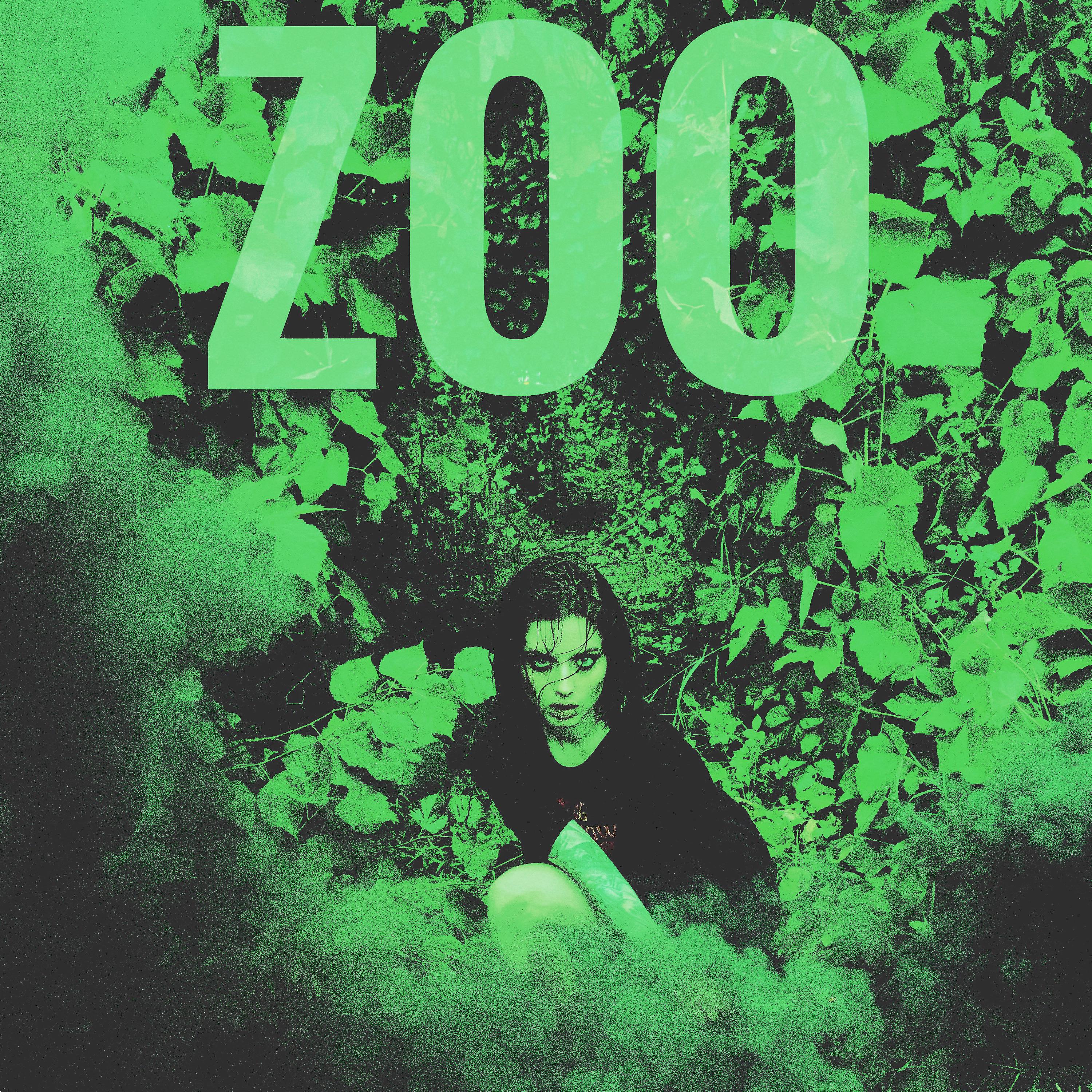 Постер альбома zoo