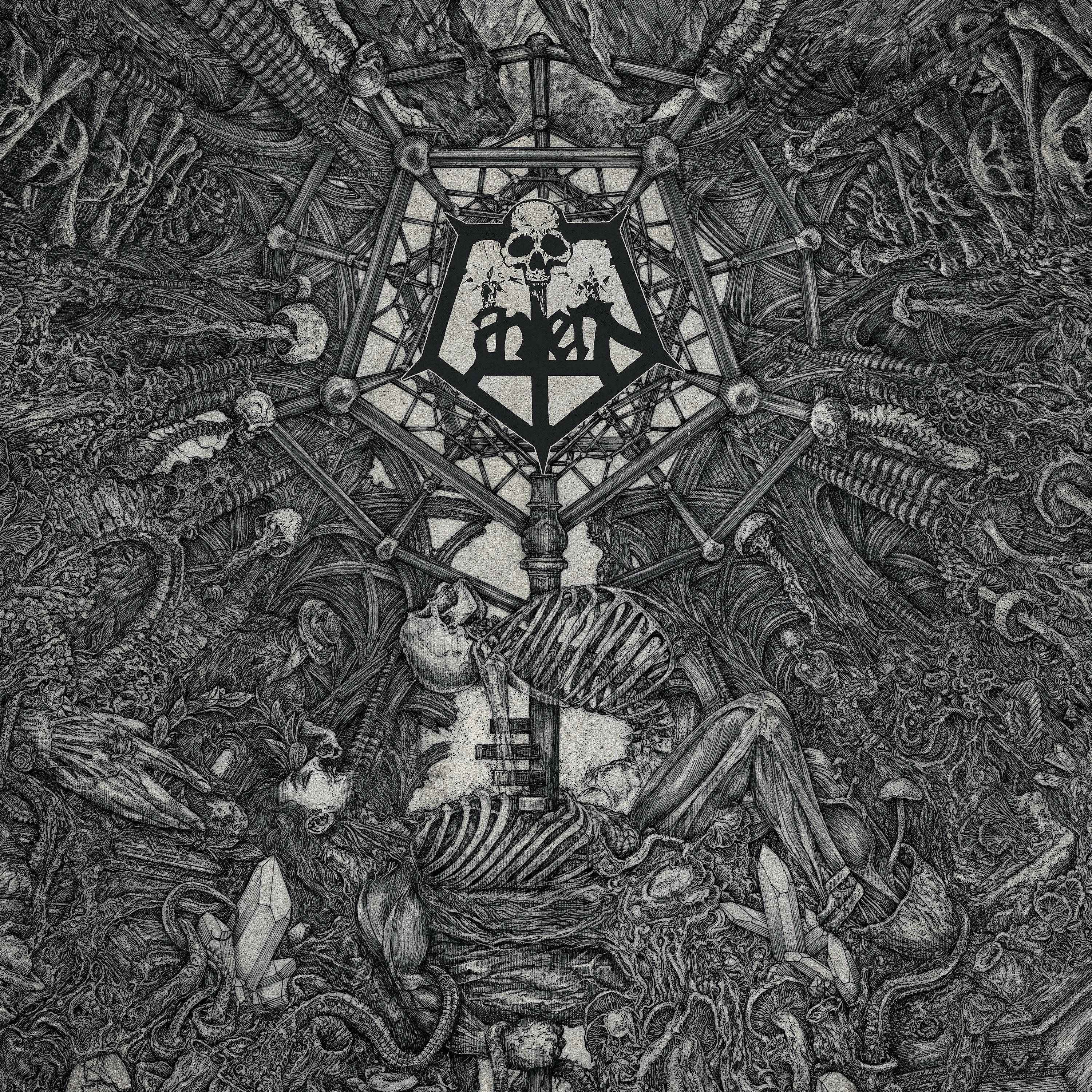 Постер альбома Ii: Morphosis