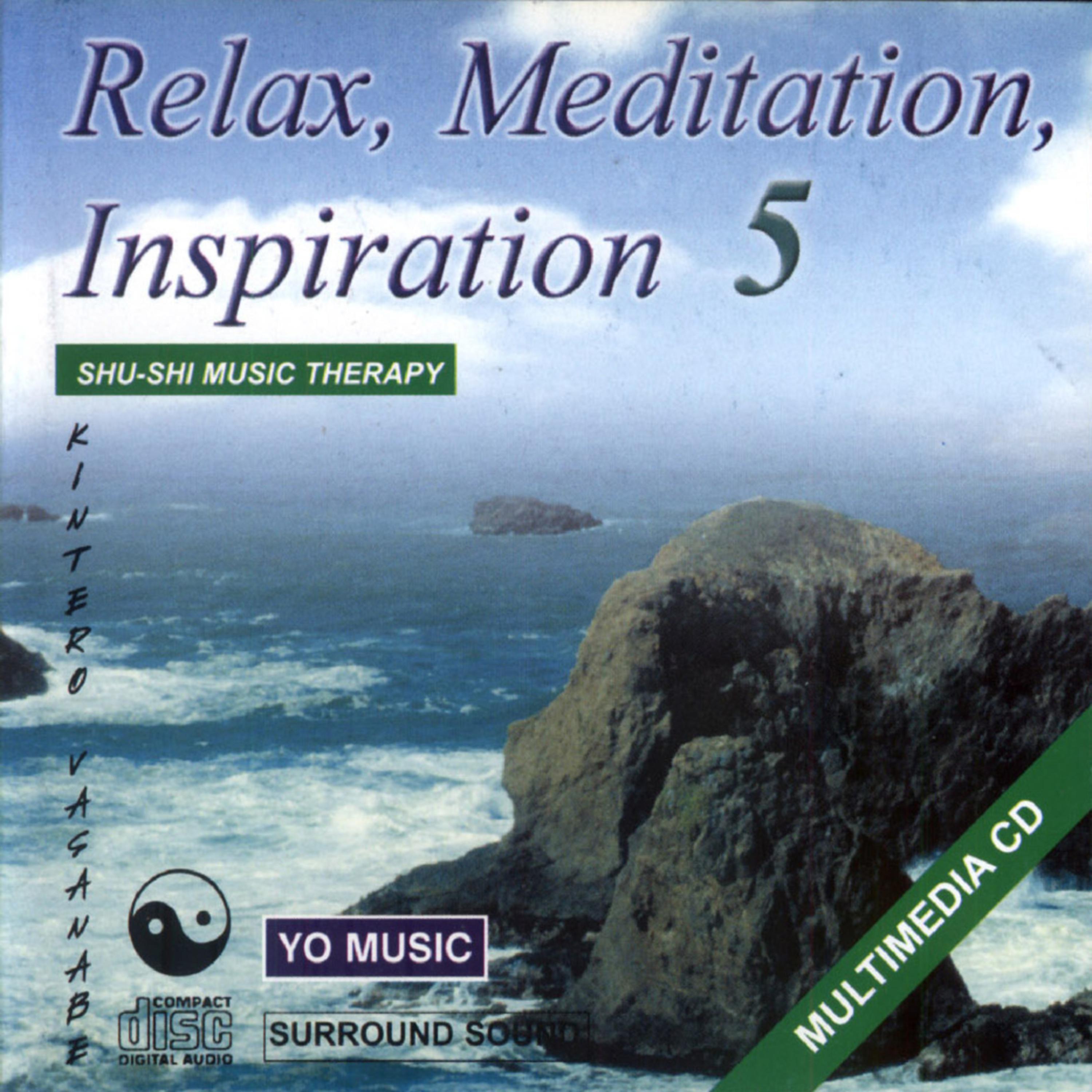 Постер альбома Relax, Meditation And Inspiration Vol. 5