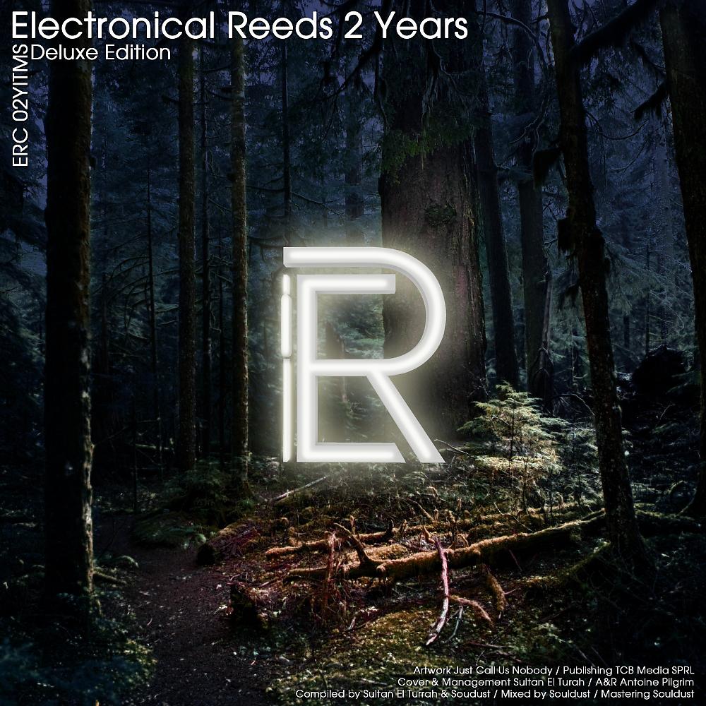 Постер альбома Electronical Reeds 2 Years
