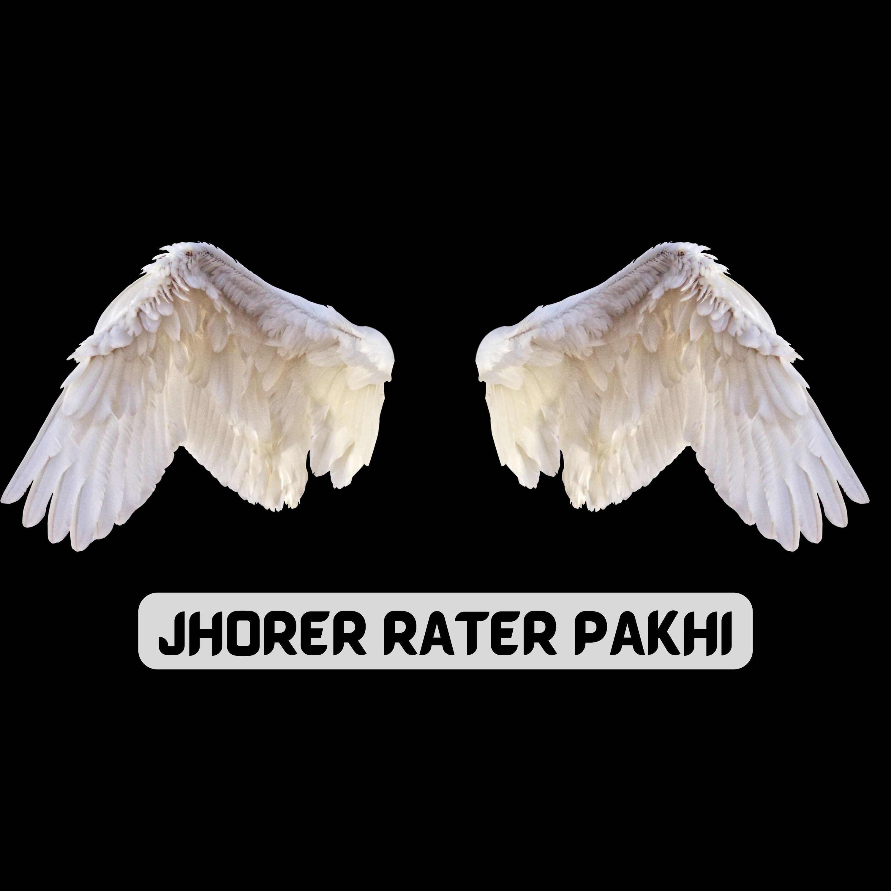 Постер альбома JHORER RATER PAKHI