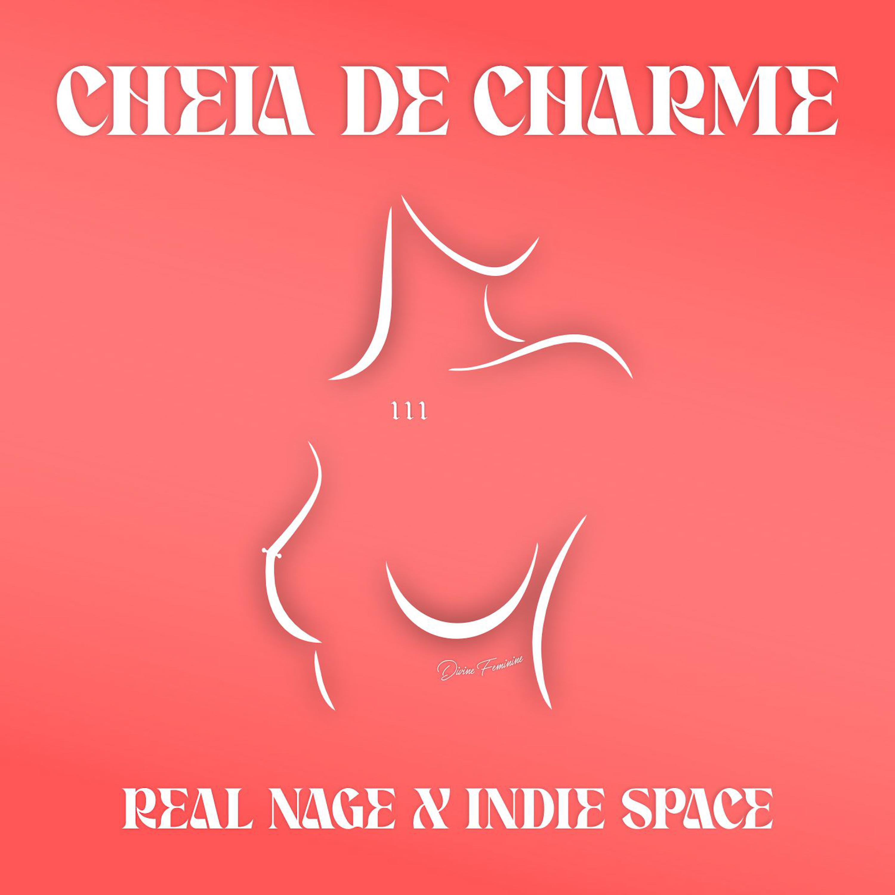Постер альбома Cheia de charme