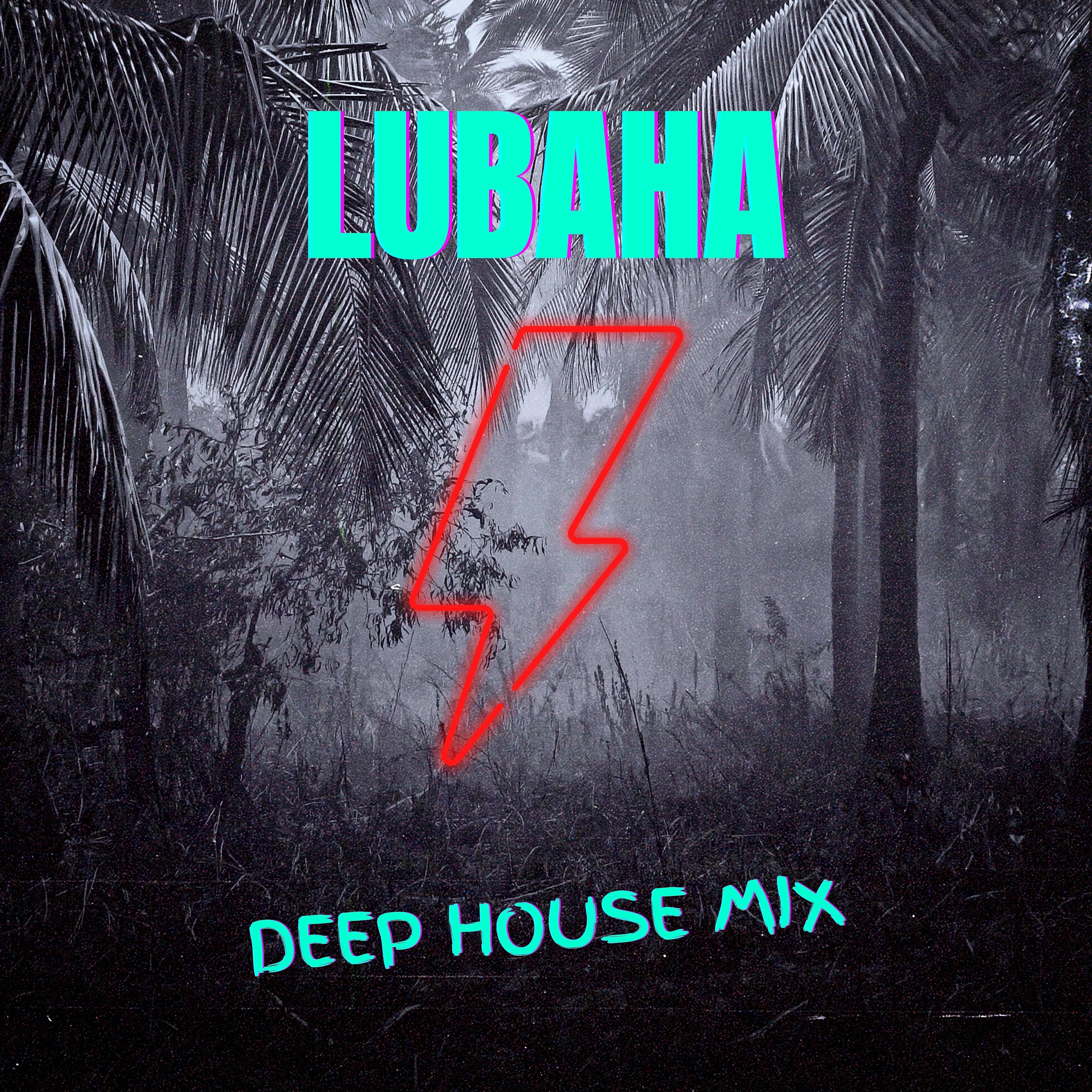 Постер альбома Deep House Mix