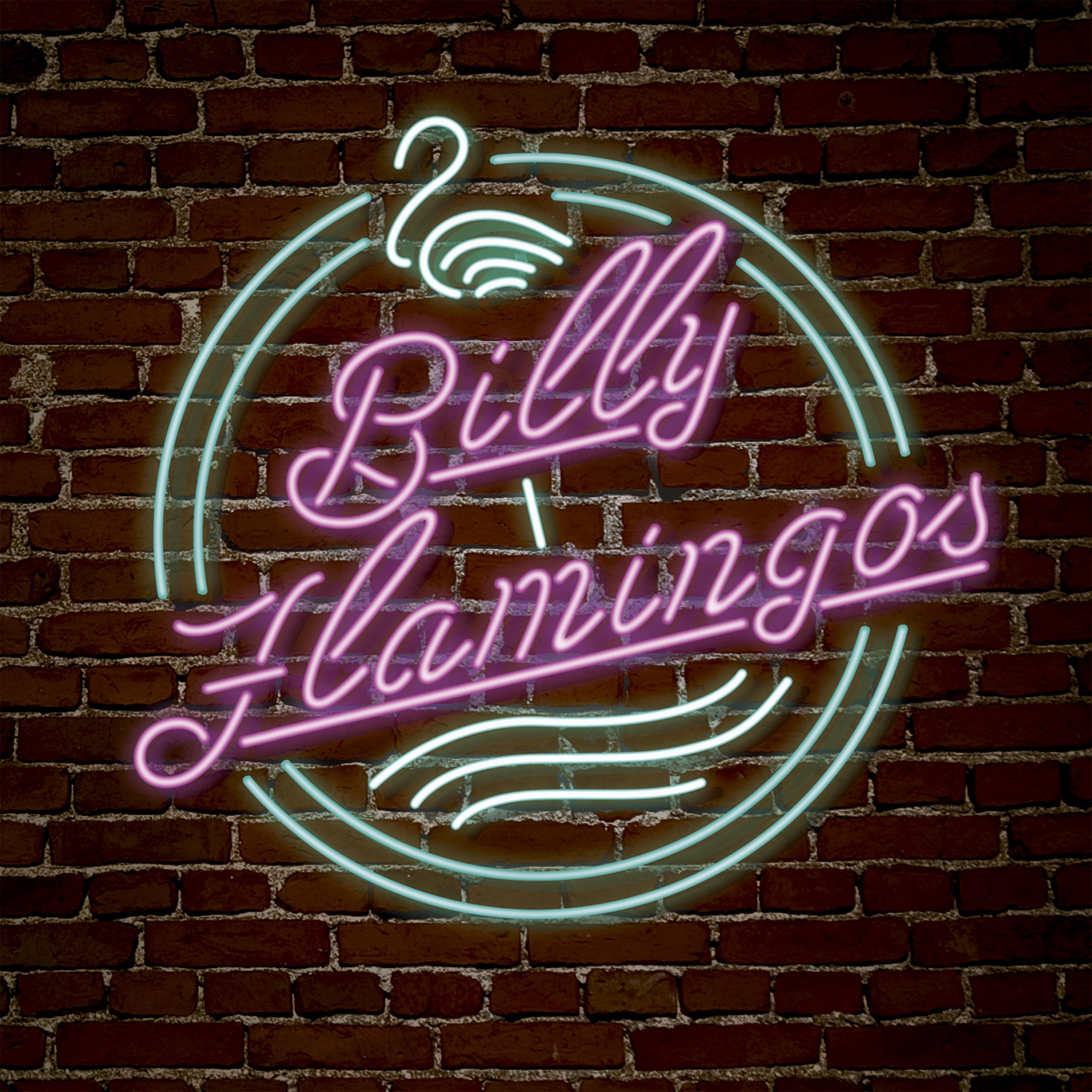 Постер альбома Billy Flamingos