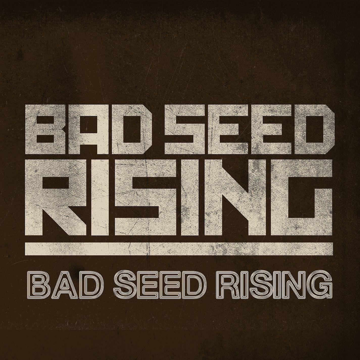 Постер альбома Bad Seed Rising