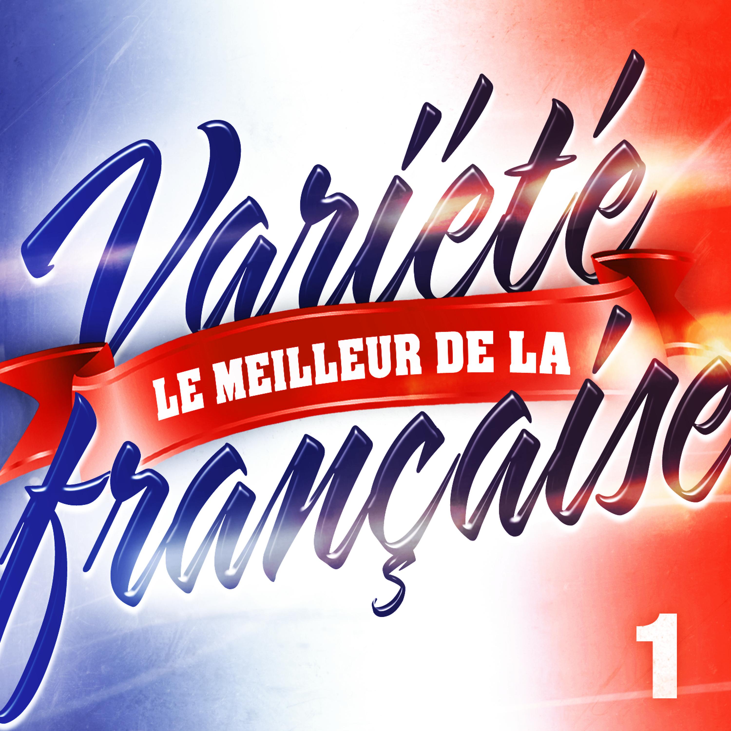 Постер альбома Le Meilleur De La Variété Française Vol. 1