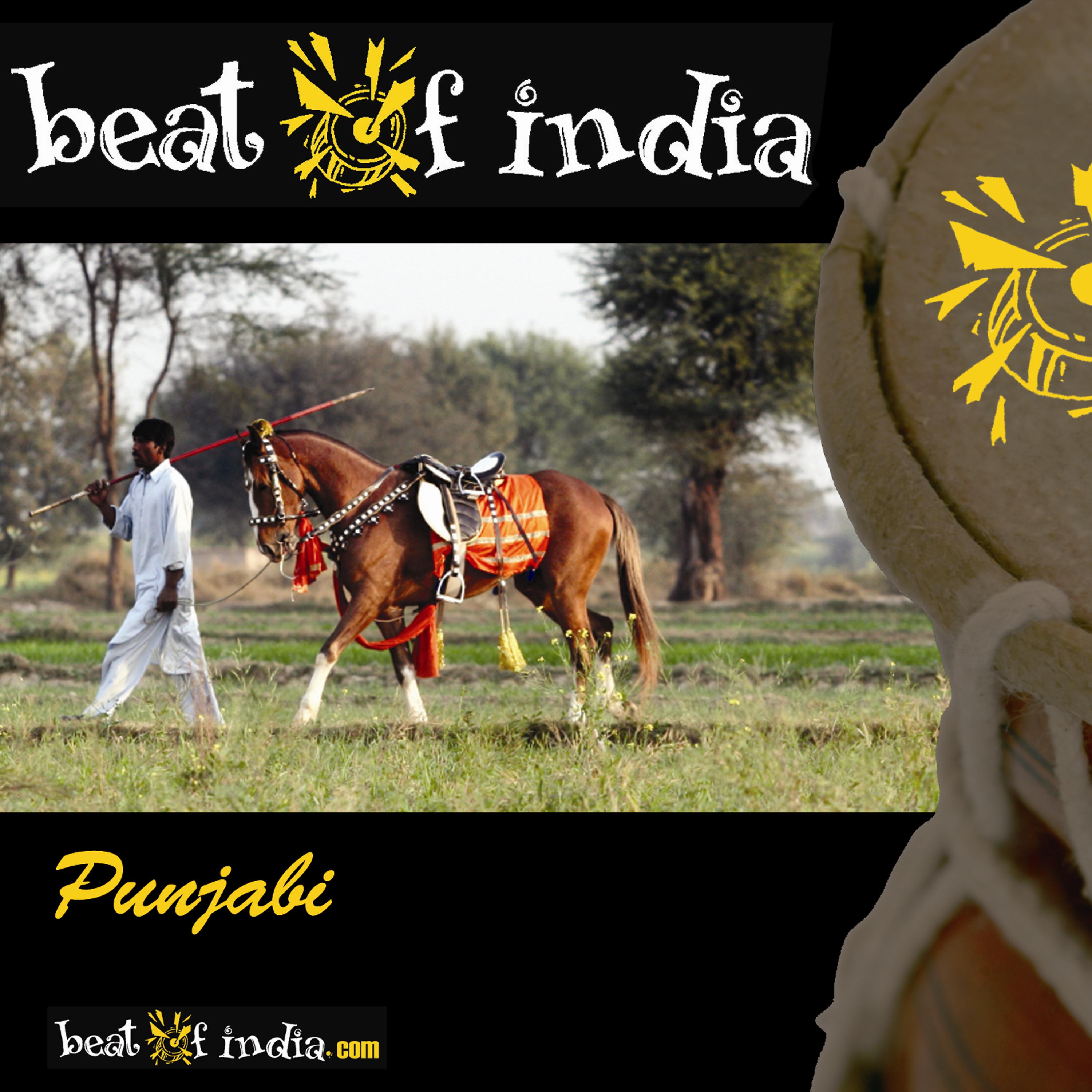 Постер альбома Beat Of India, Punjabi