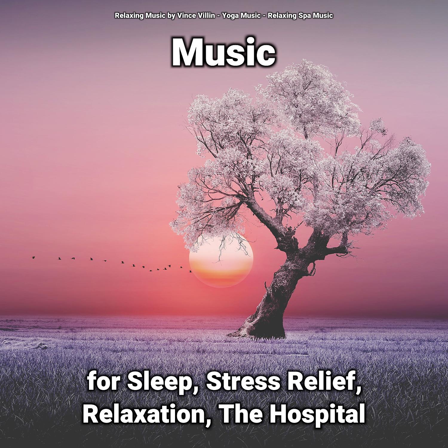 Постер альбома Music for Sleep, Stress Relief, Relaxation, The Hospital