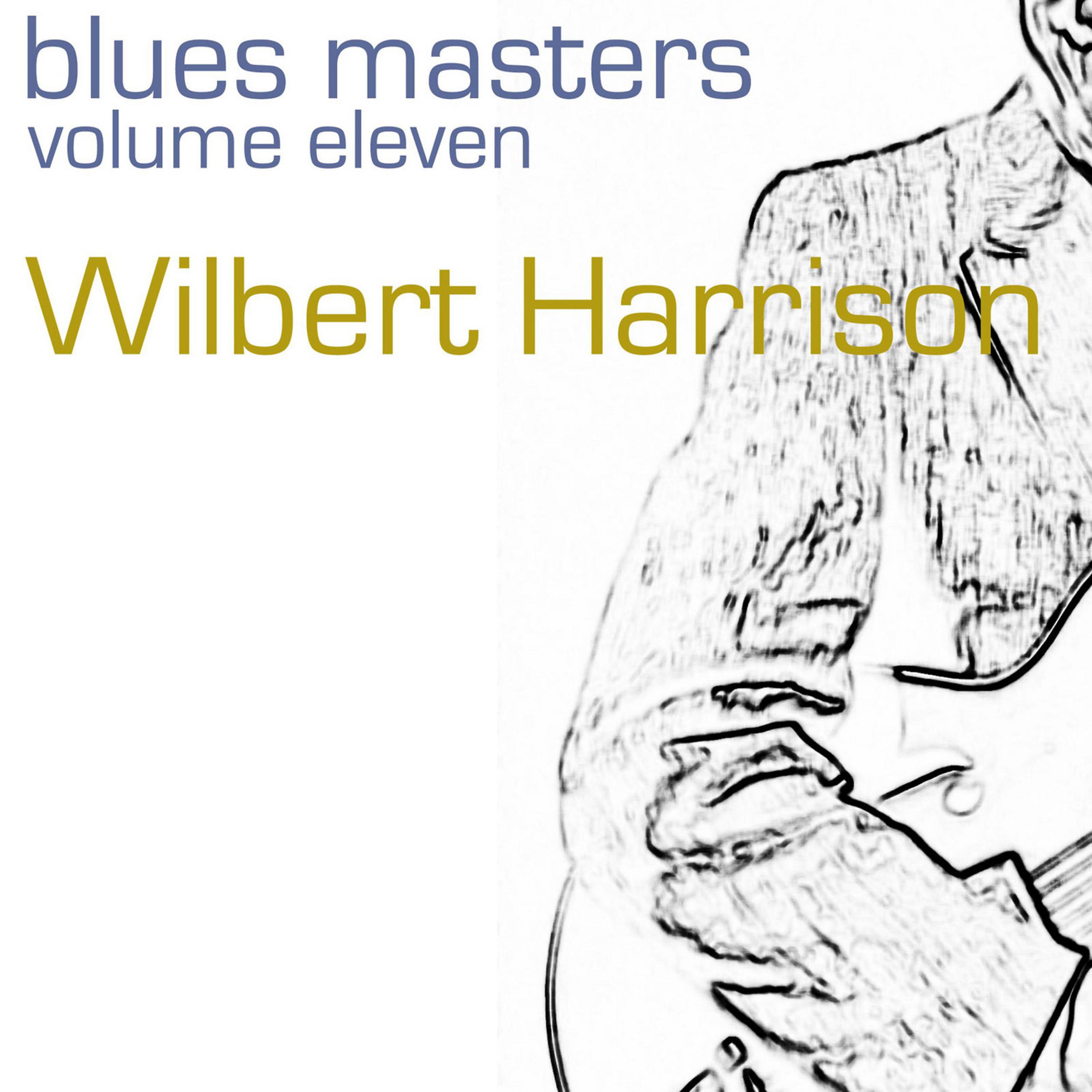 Постер альбома Blues Masters-Vol. 11