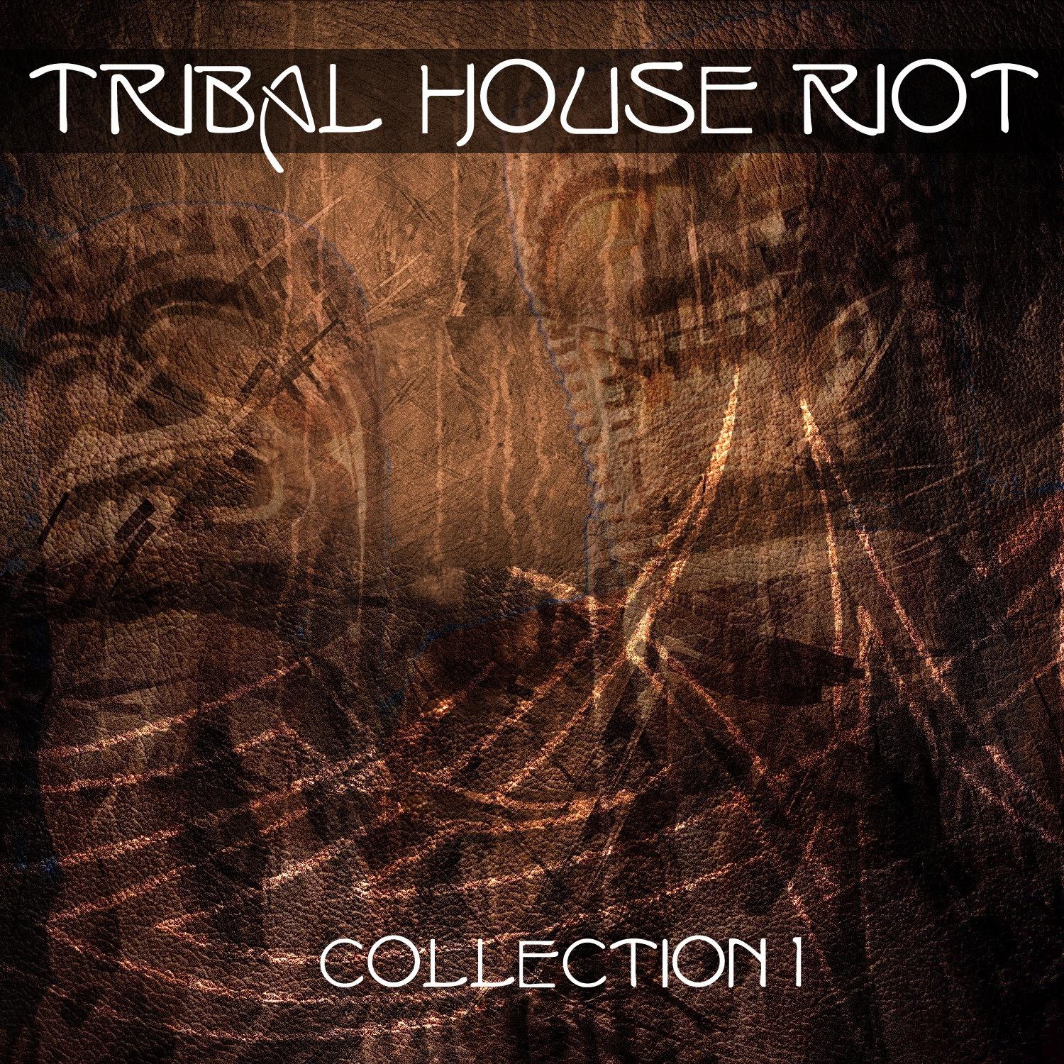Постер альбома Tribal House Riot - Collection 1