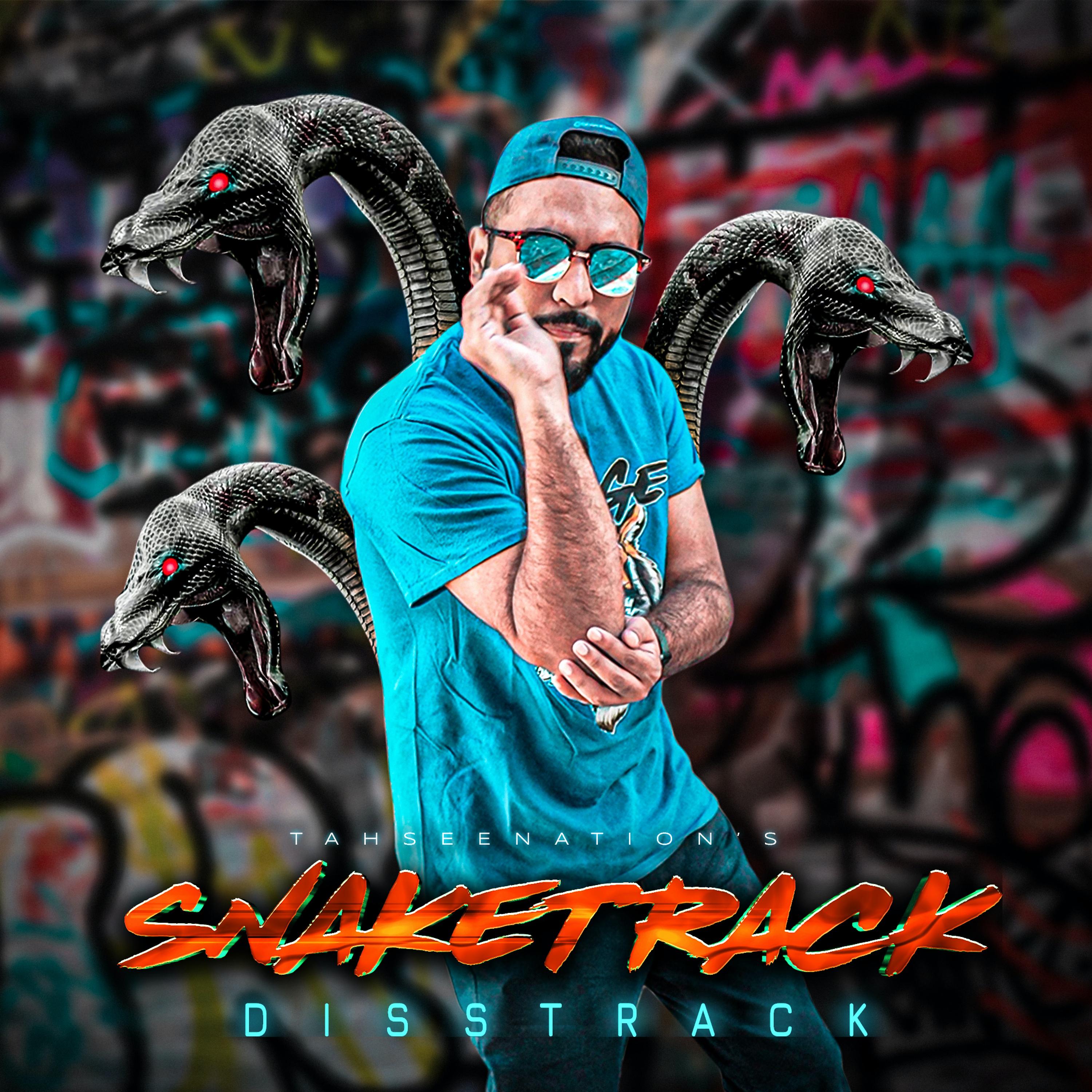 Постер альбома SnakeTrack (Shapin DissTrack)