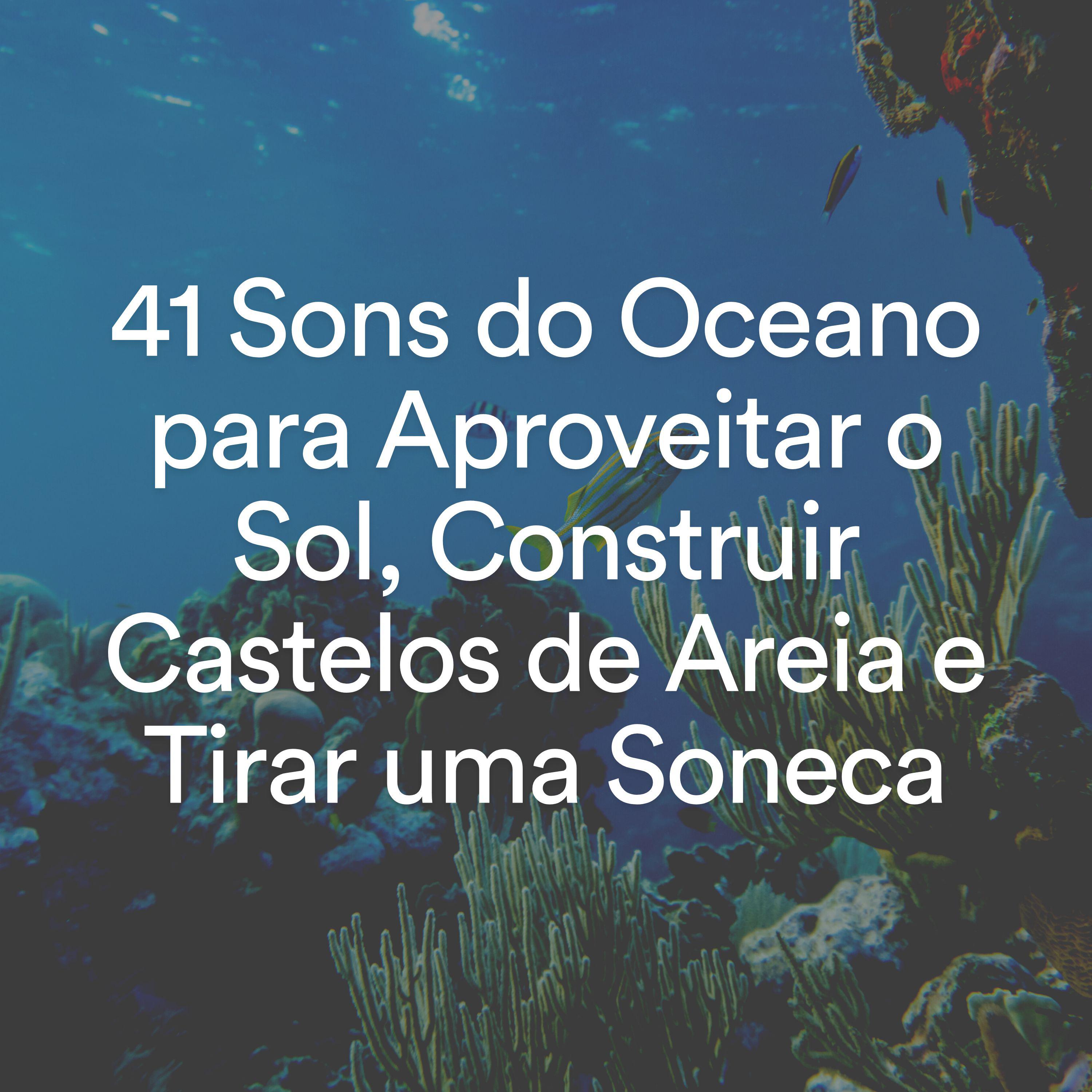 Постер альбома 41 Sons do Oceano para Aproveitar o Sol, Construir Castelos de Areia e Tirar uma Soneca