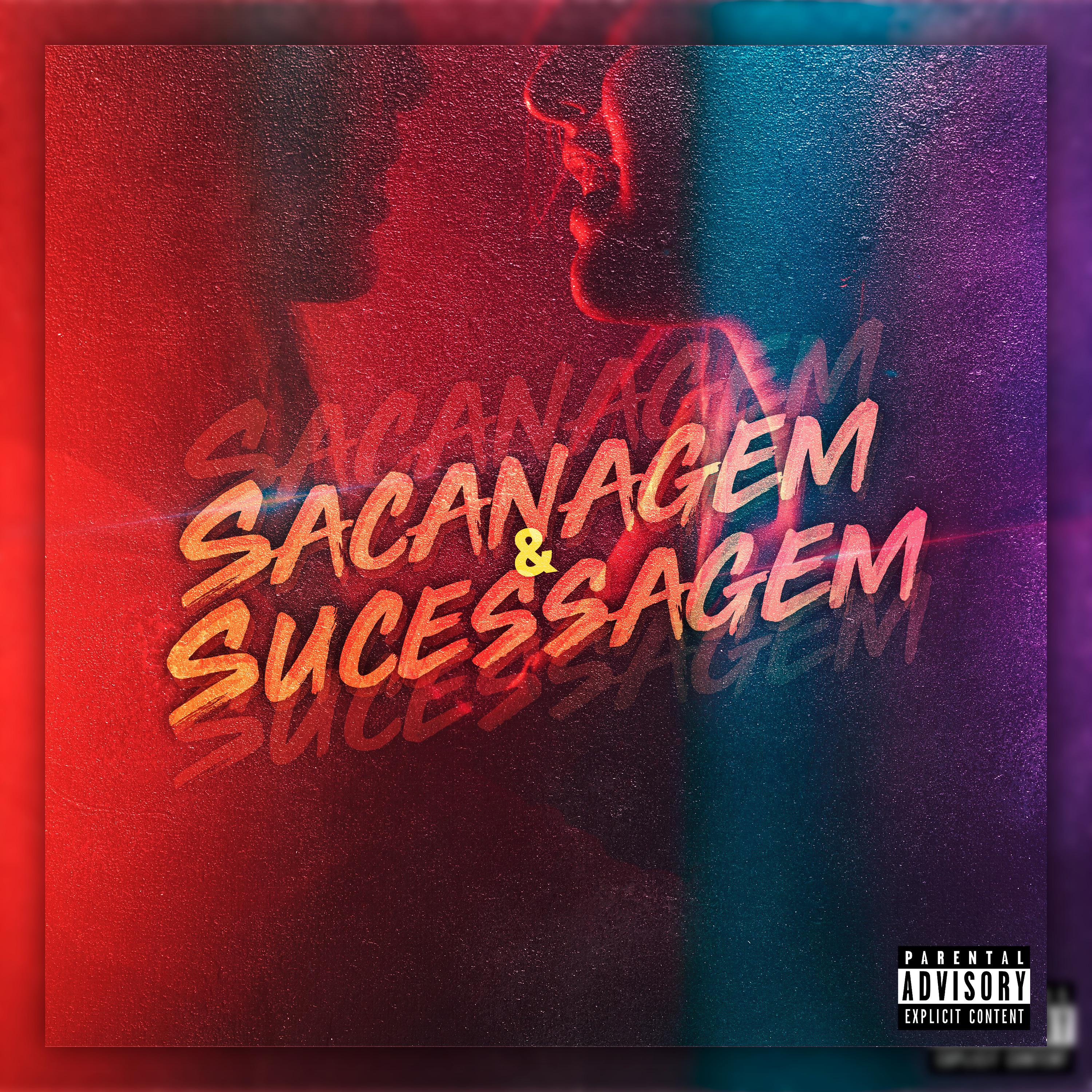 Постер альбома Sacanagem & Sucessagem
