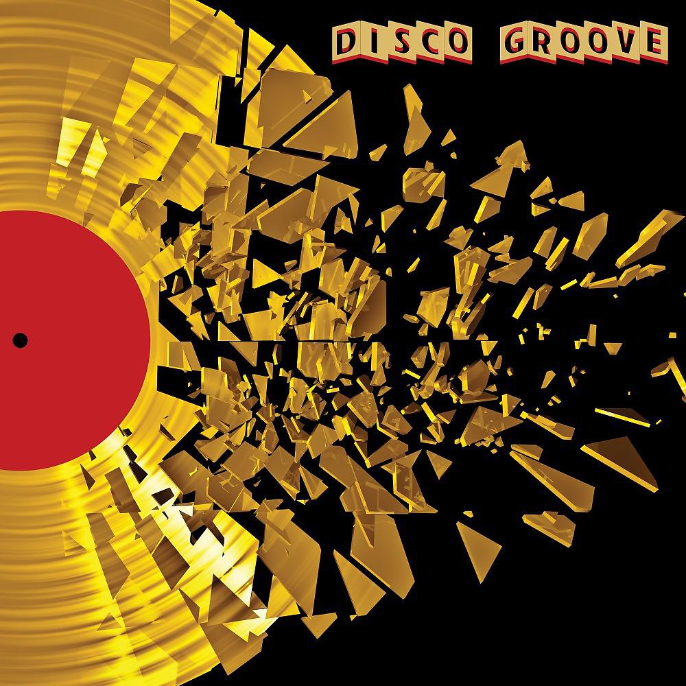 Постер альбома Disco Groove