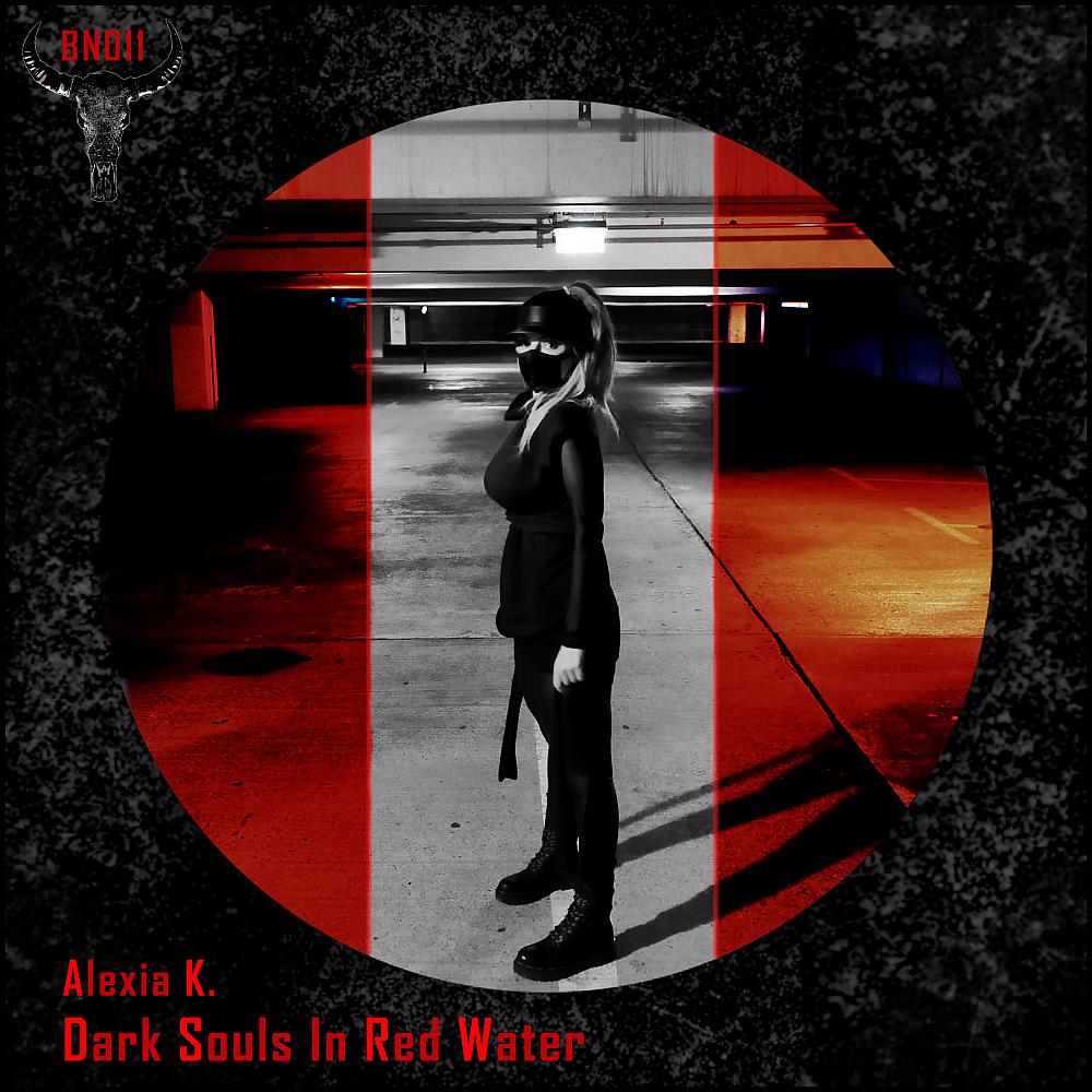 Постер альбома Dark Souls In Red Water