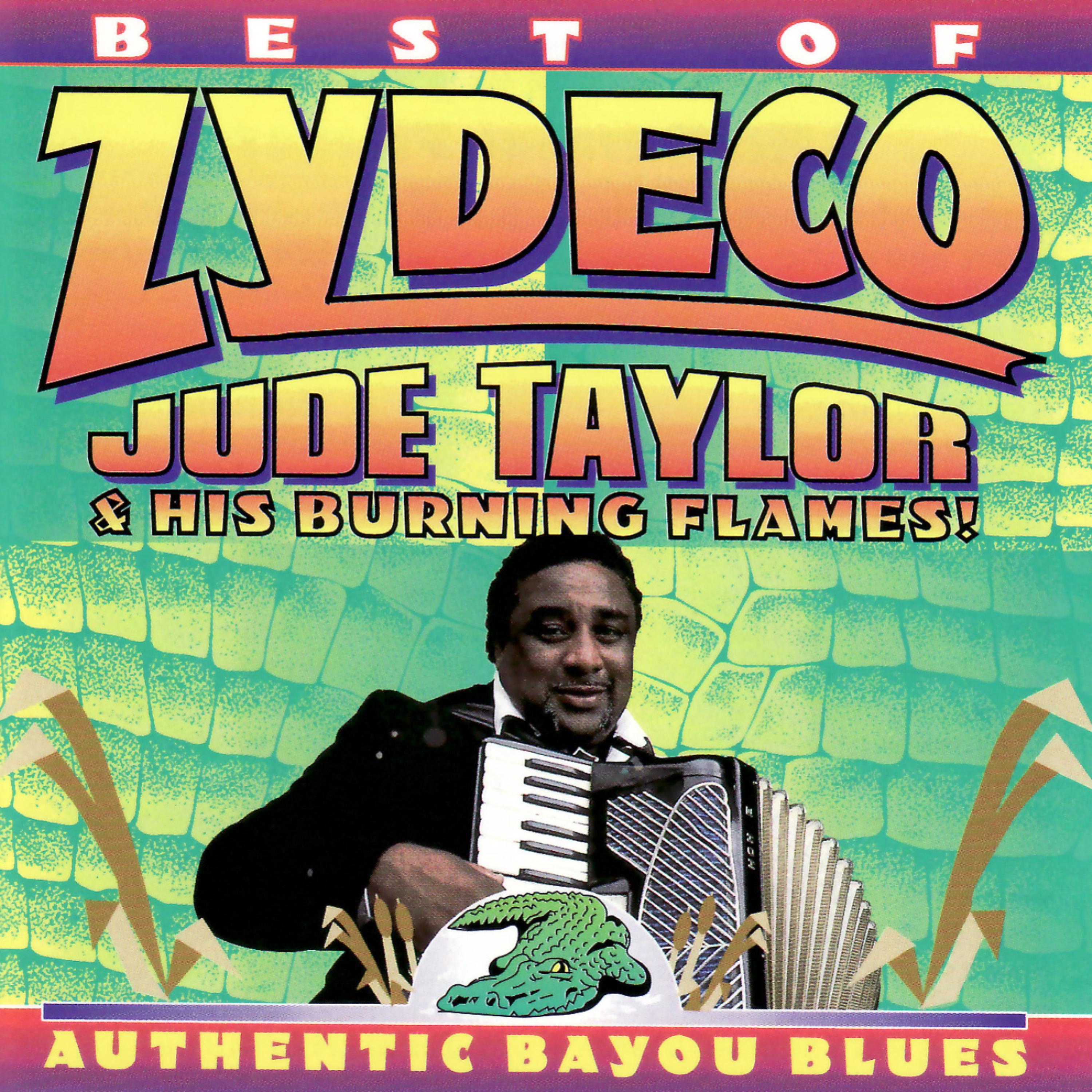 Постер альбома Best of Zydeco