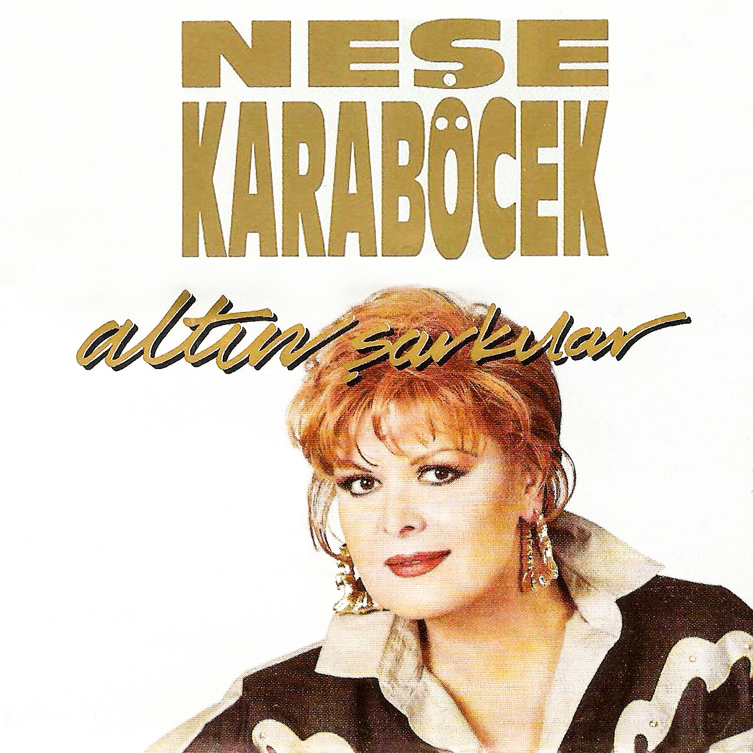 Постер альбома Altın Şarkılar