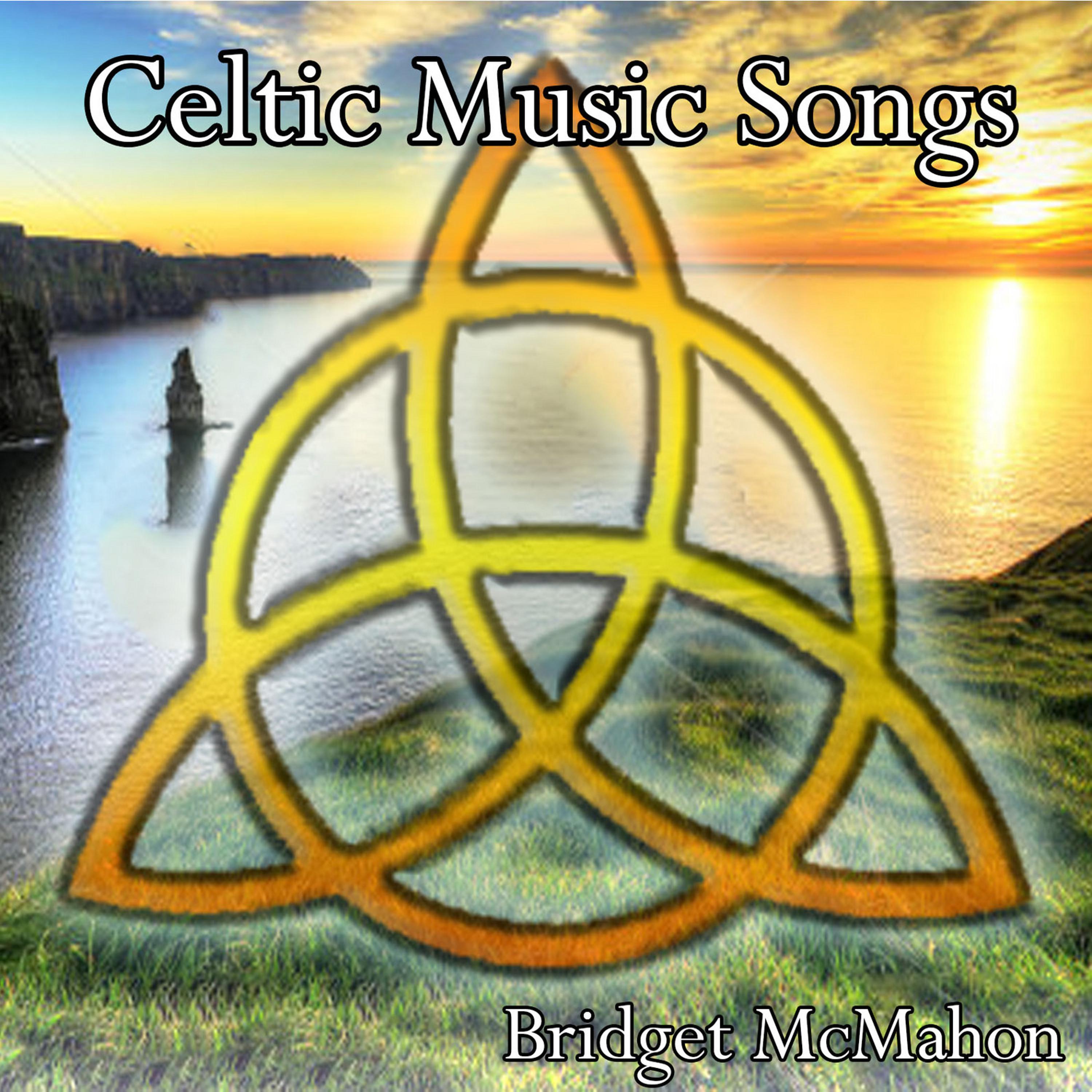 Постер альбома Celtic Music Songs