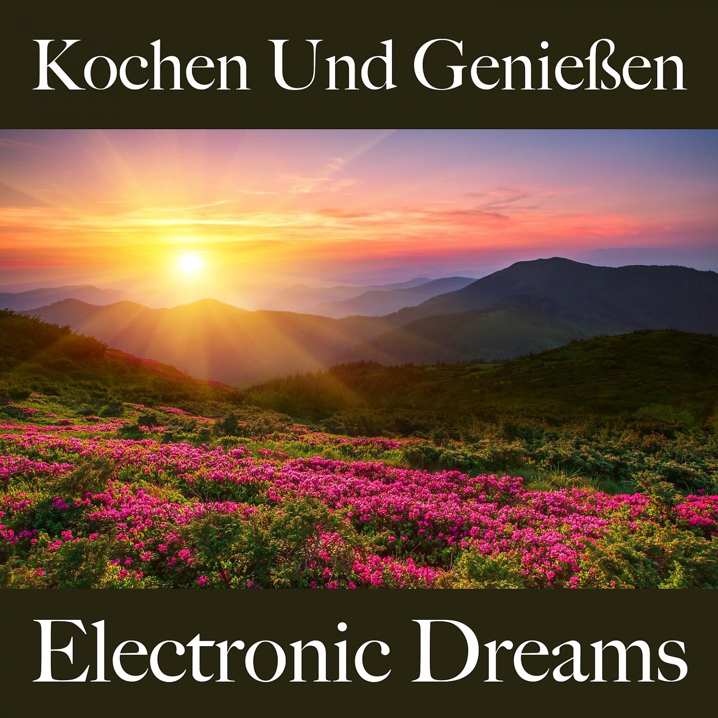 Постер альбома Kochen Und Genießen: Electronic Dreams - Die Besten Sounds Zum Entspannen