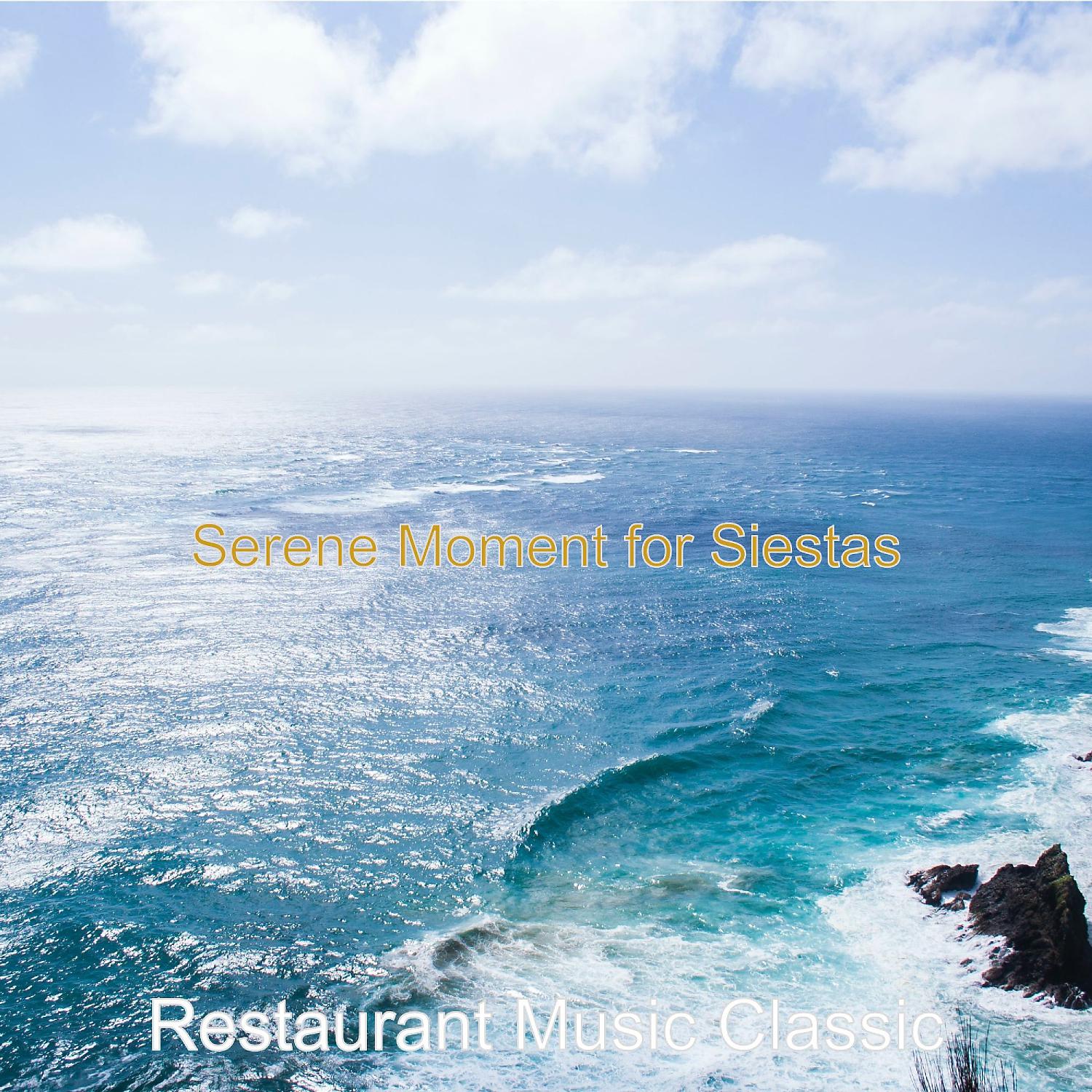 Постер альбома Serene Moment for Siestas