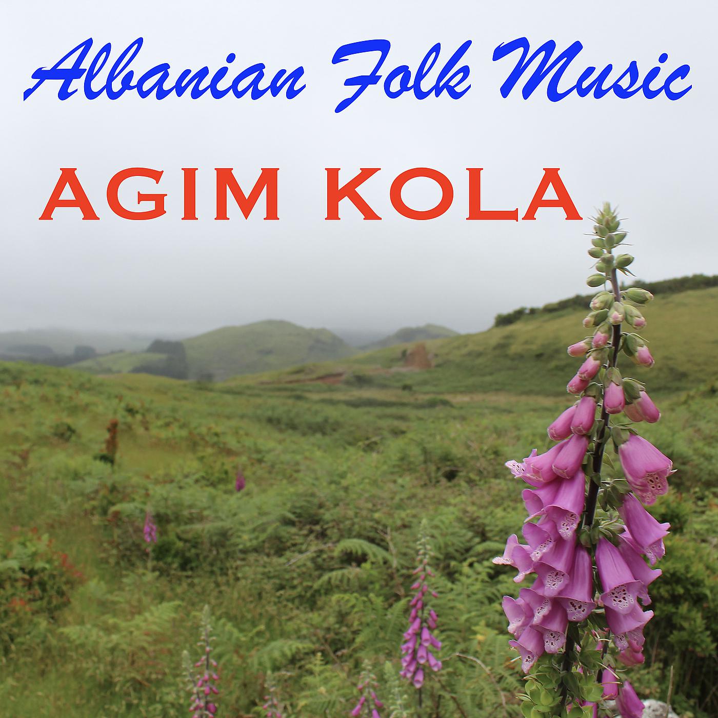 Постер альбома Albanian Folk Music