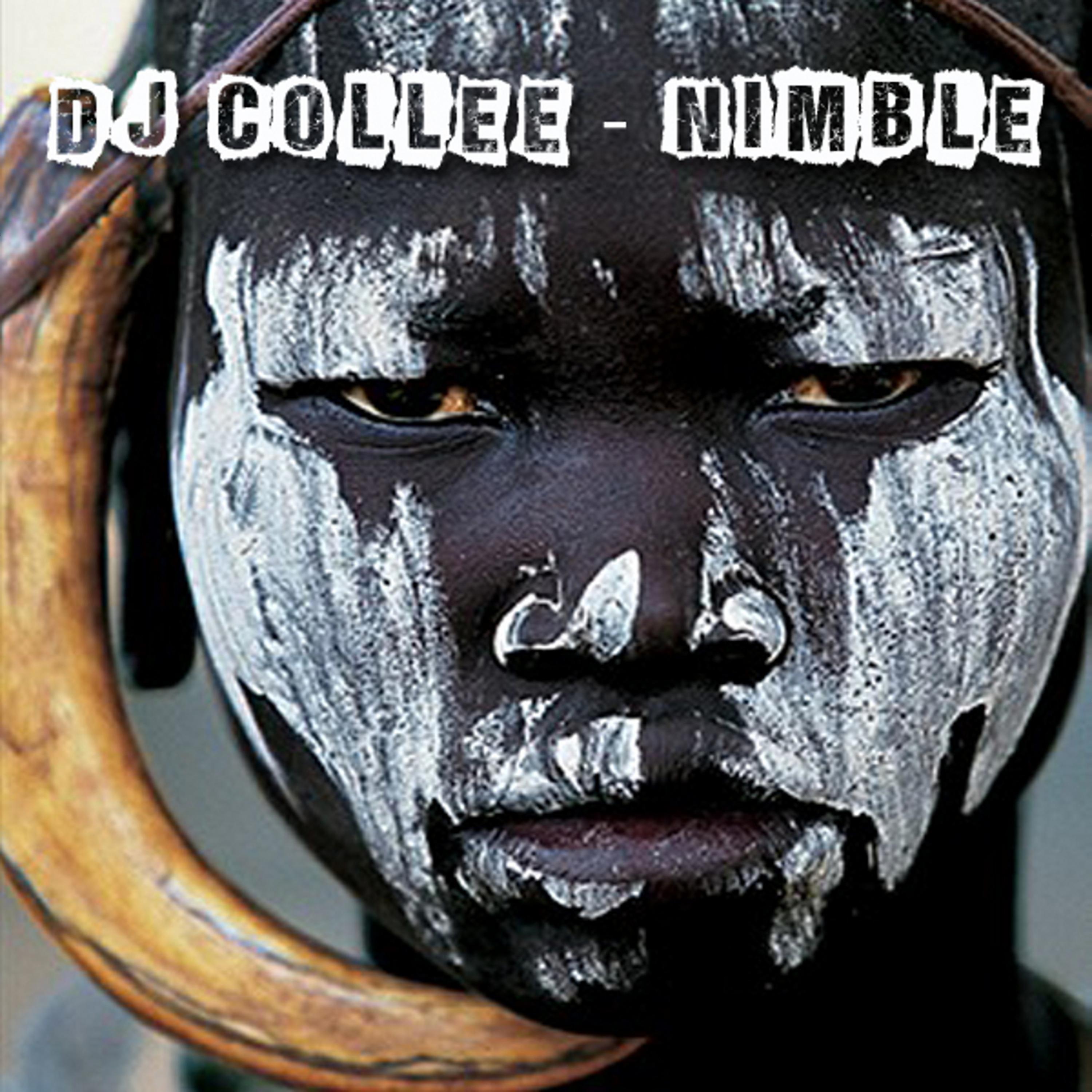 Постер альбома Nimble