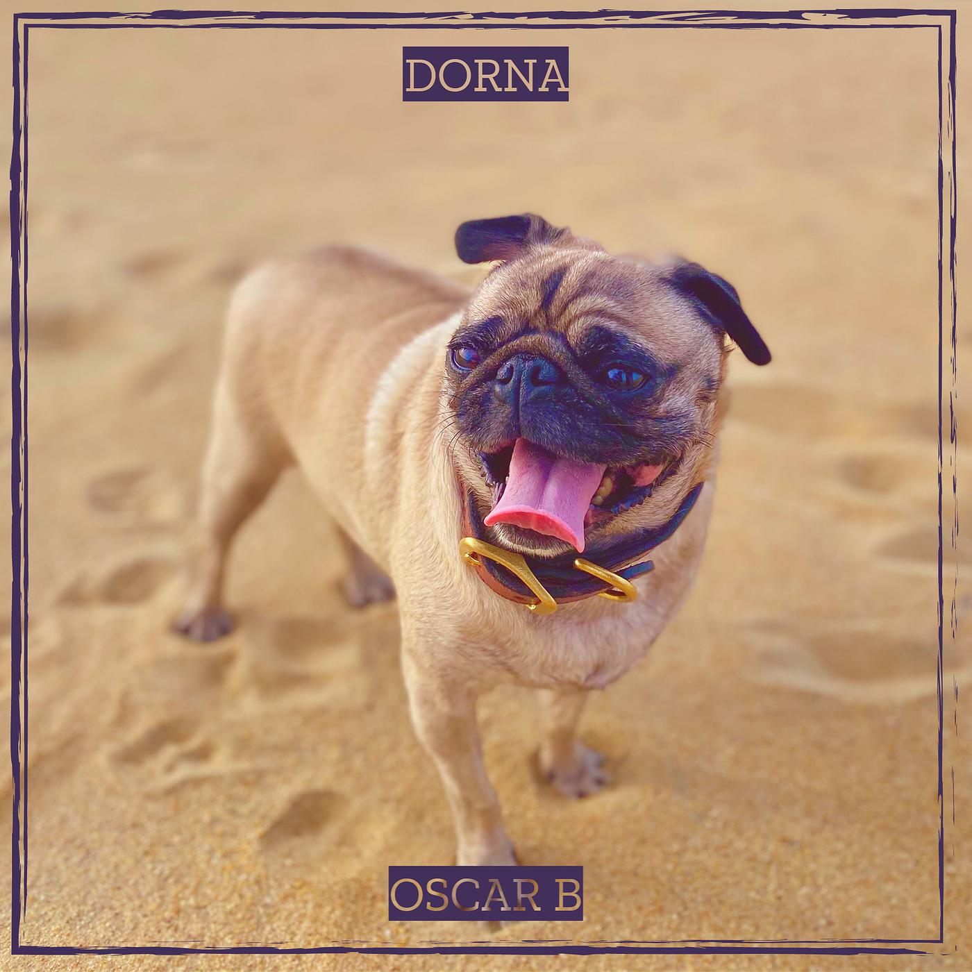 Постер альбома Dorna