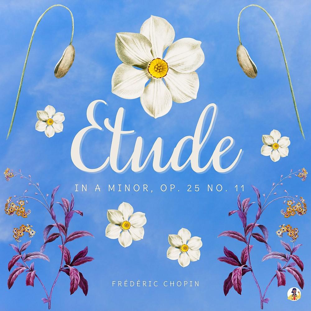 Постер альбома Etude in A Minor, Op. 25 No. 11