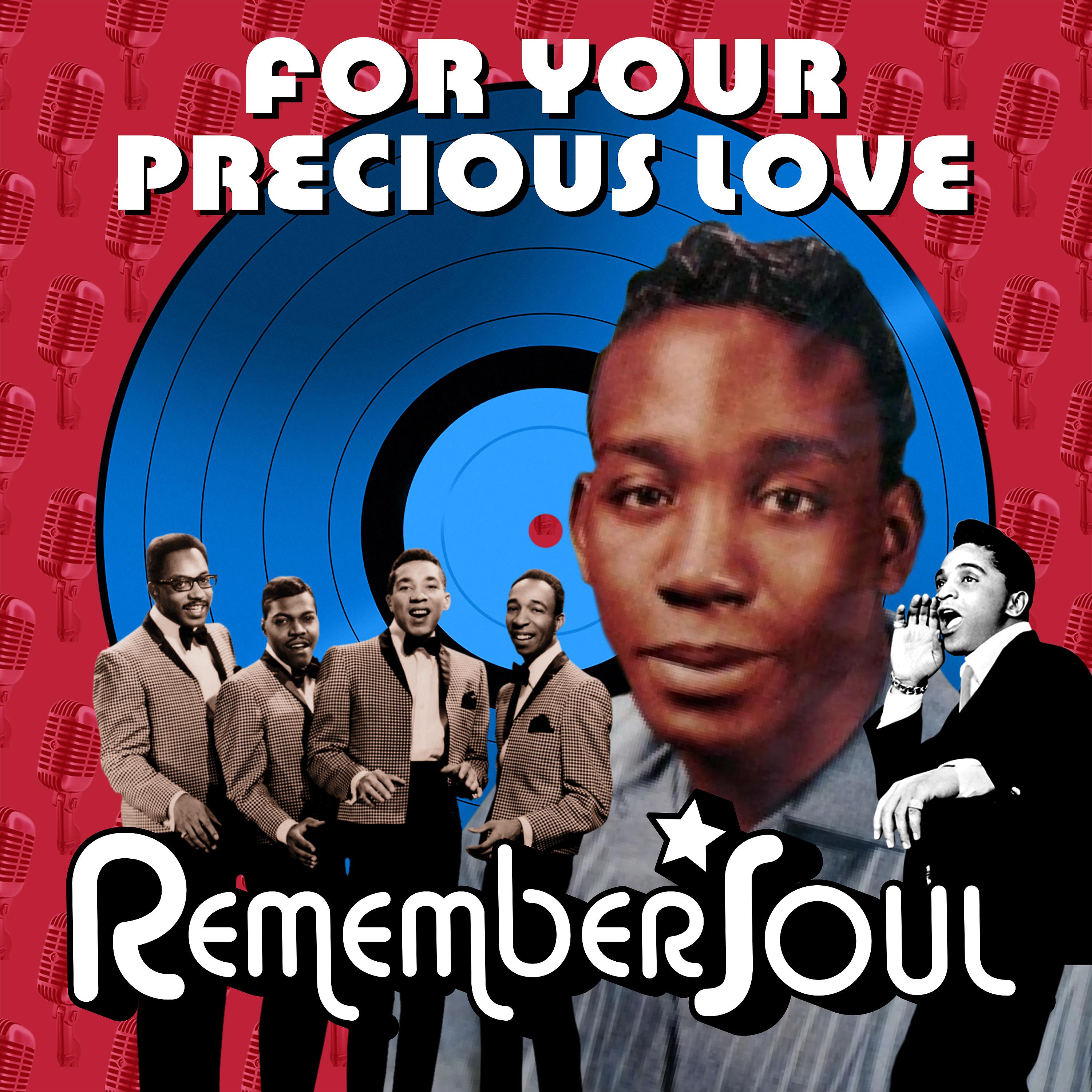 Постер альбома For Your Precious Love - Remember Soul