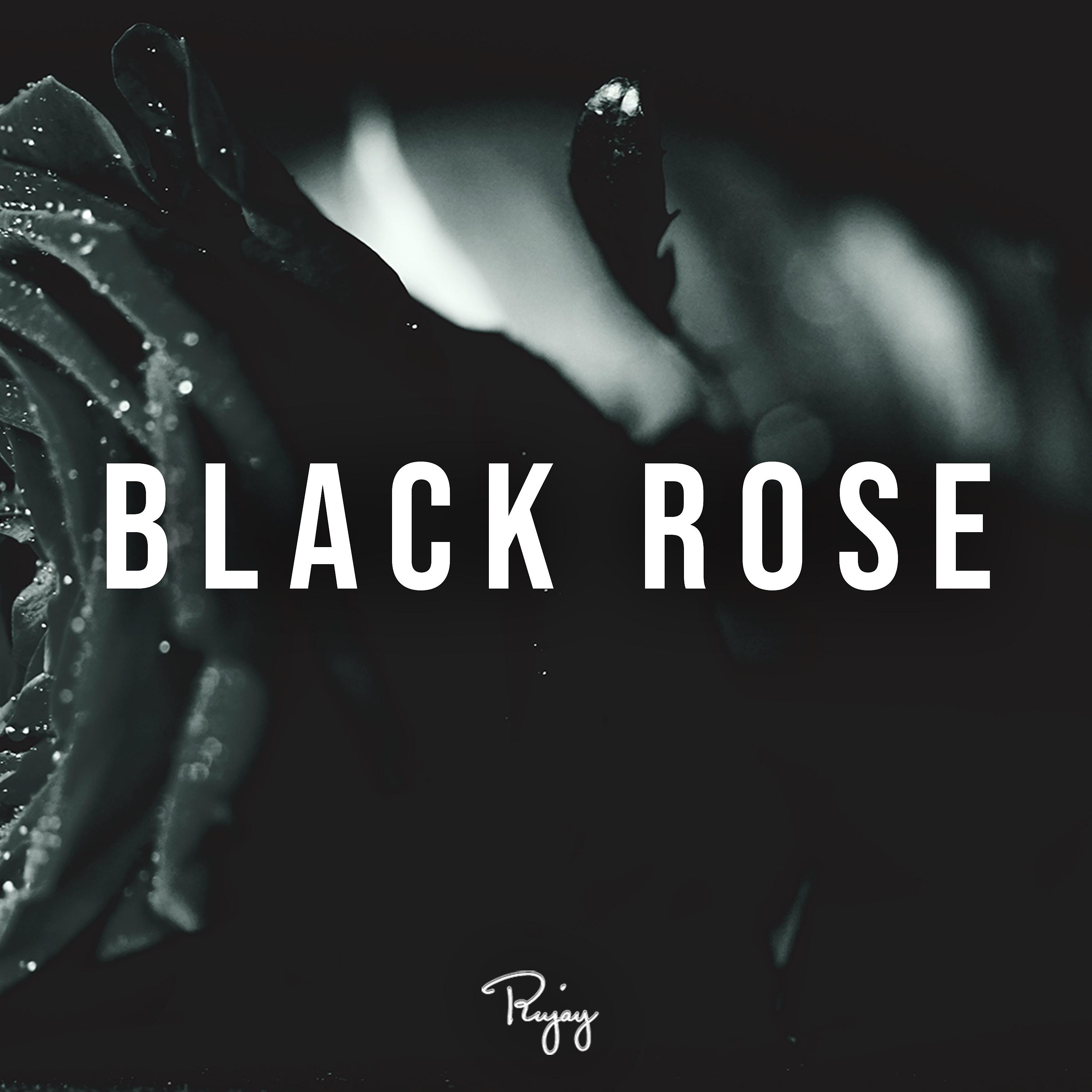 Постер альбома Black Rose (Instrumental)