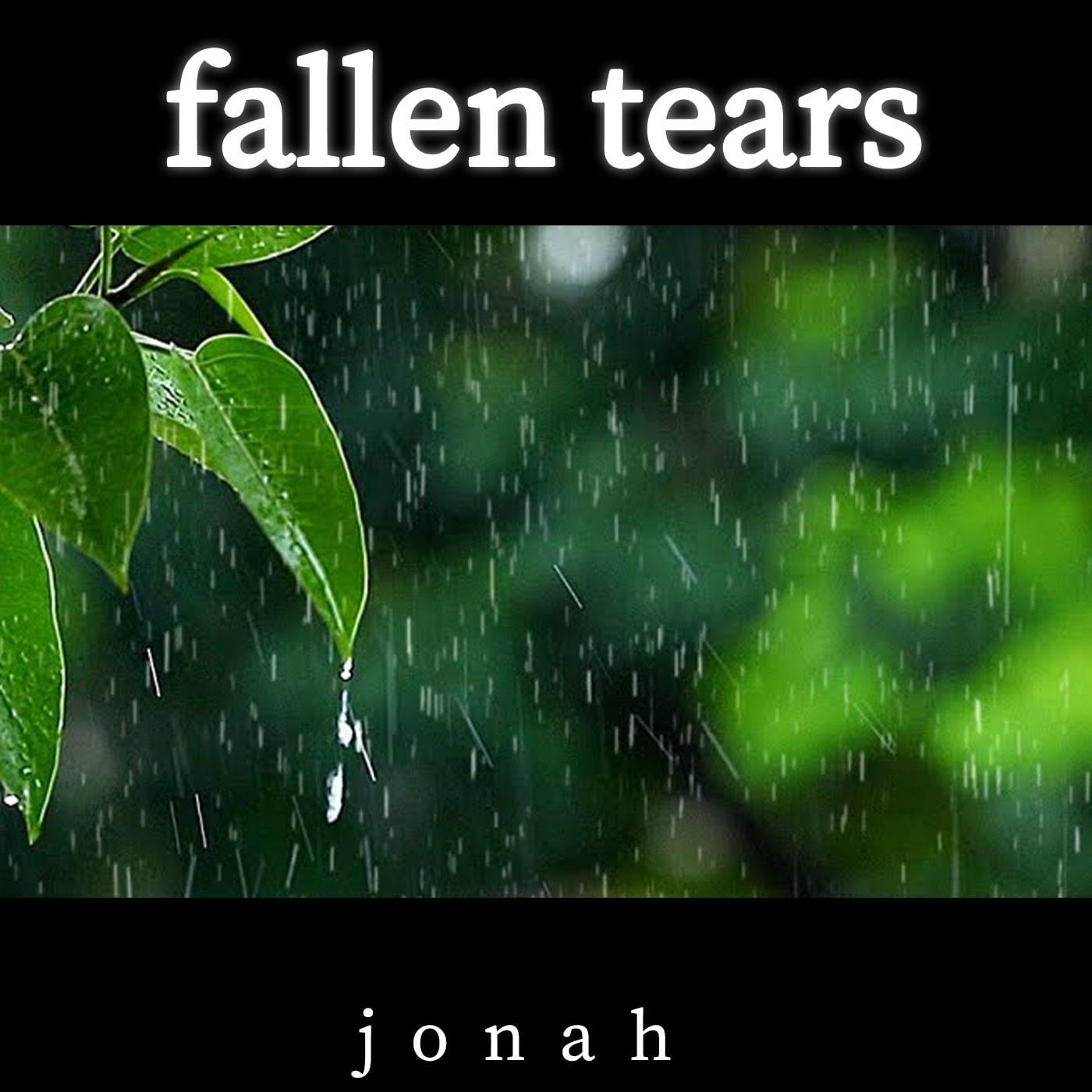 Постер альбома Fallen Tears