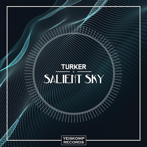 Постер альбома Salient Sky