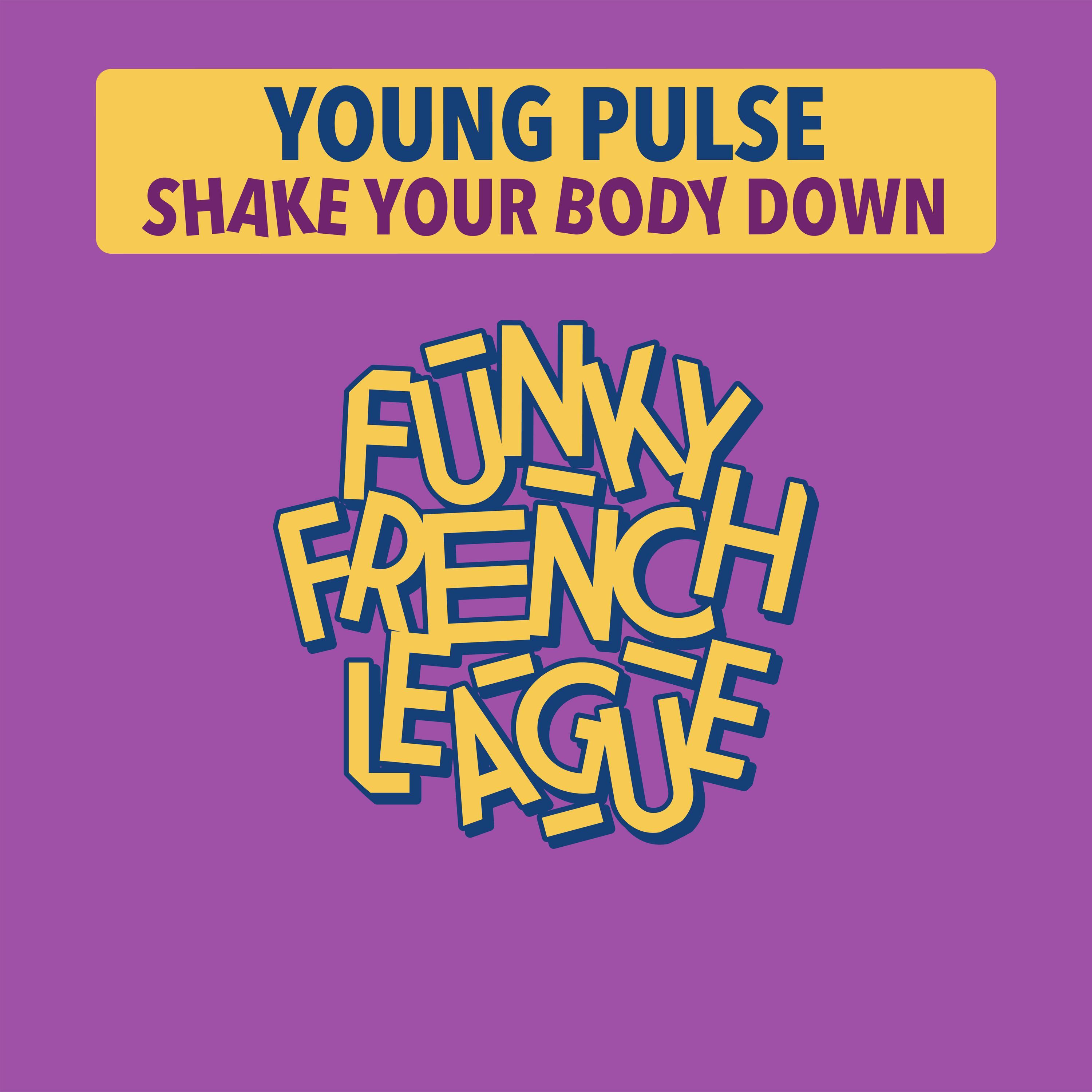 Постер альбома Shake Your Body Down