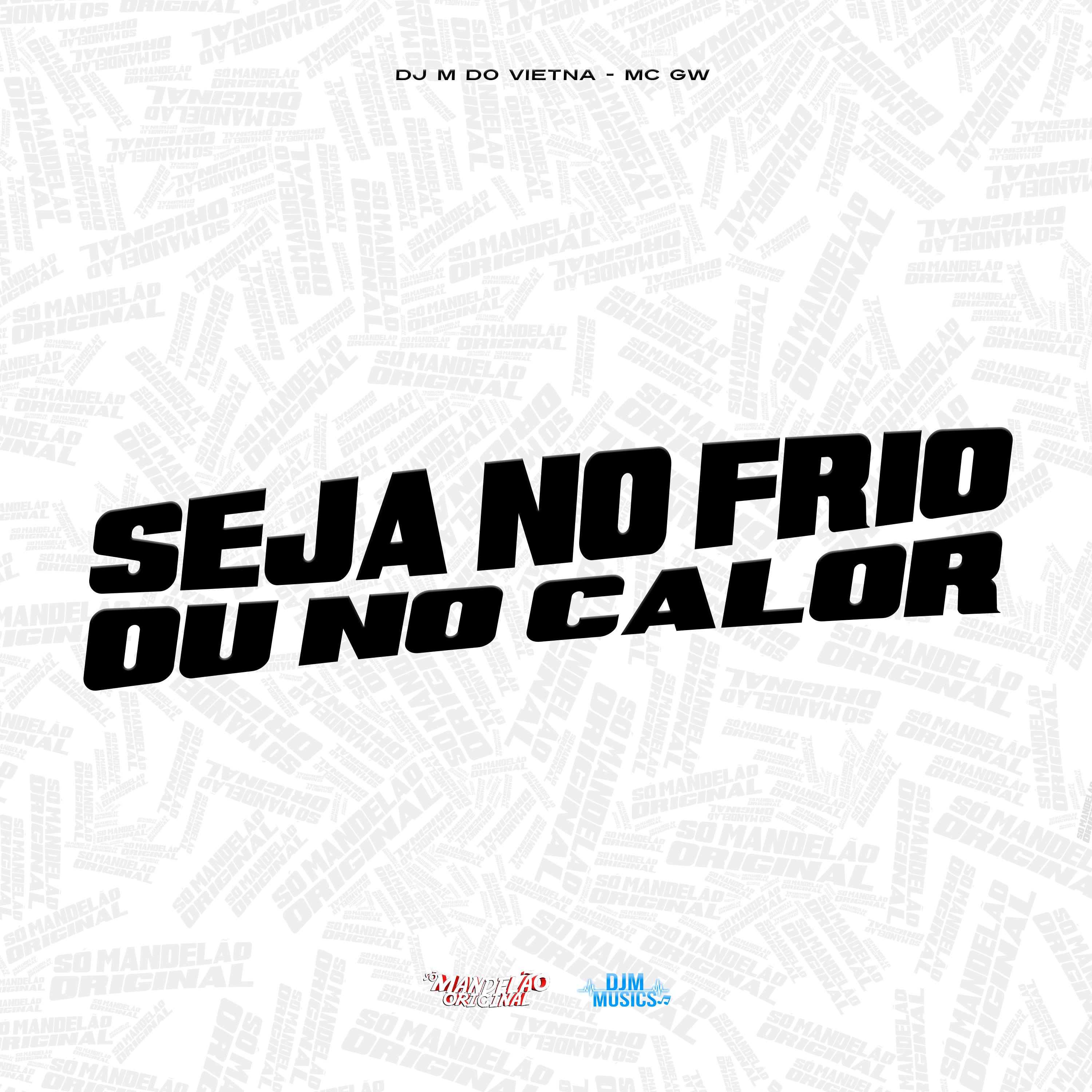 Постер альбома Seja no Frio ou no Calor