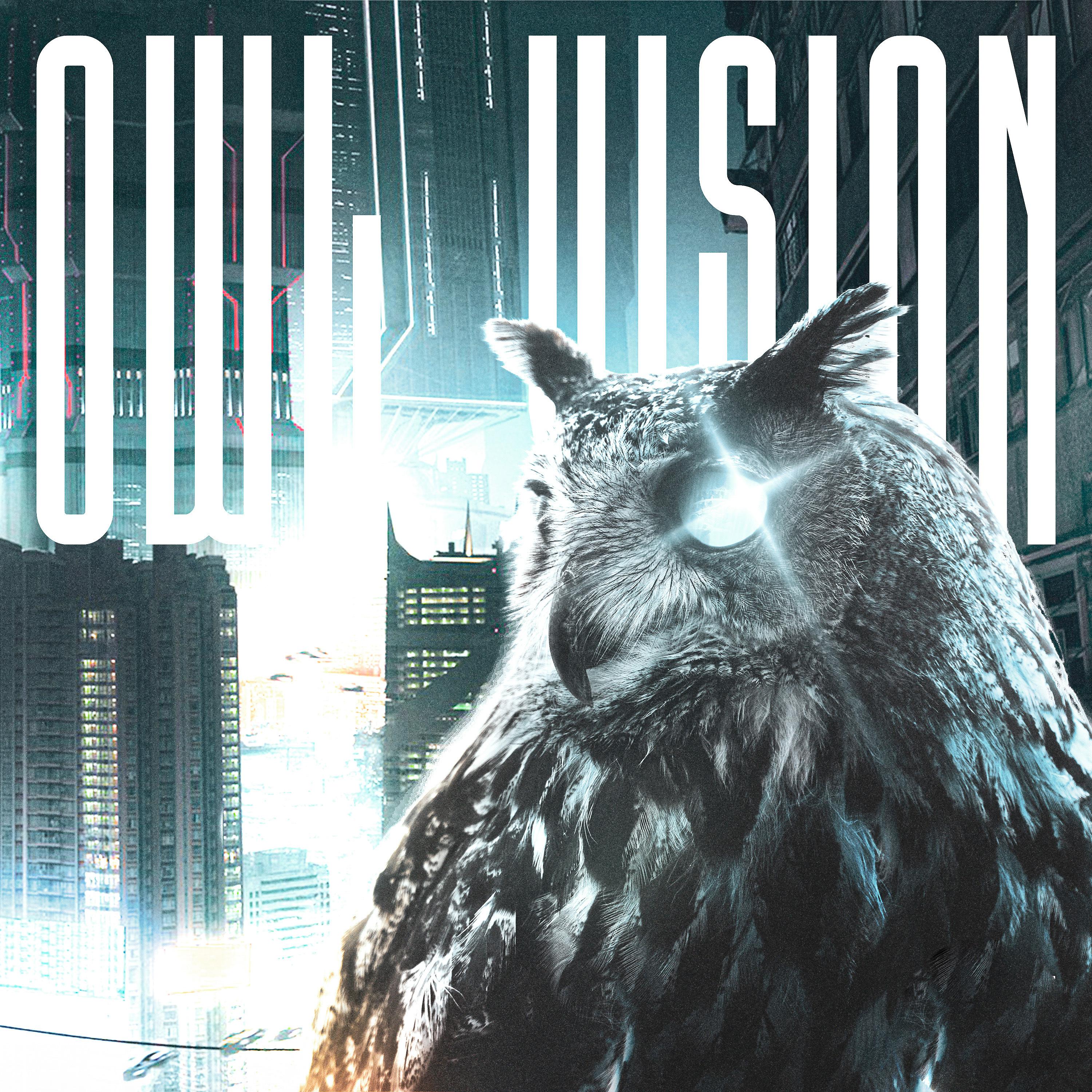 Постер альбома Owl Vision