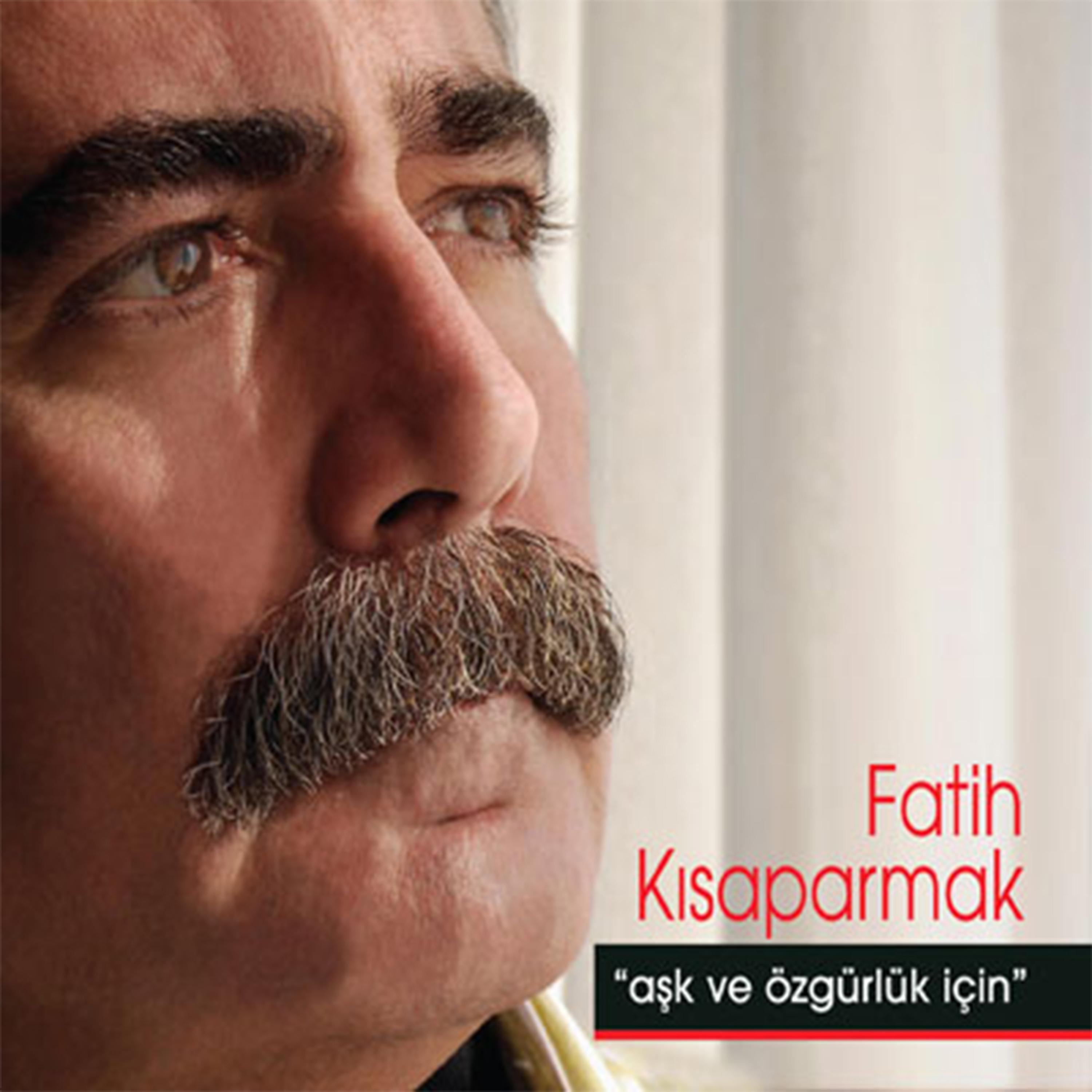 Постер альбома Aşk Ve Özgürlük İçin