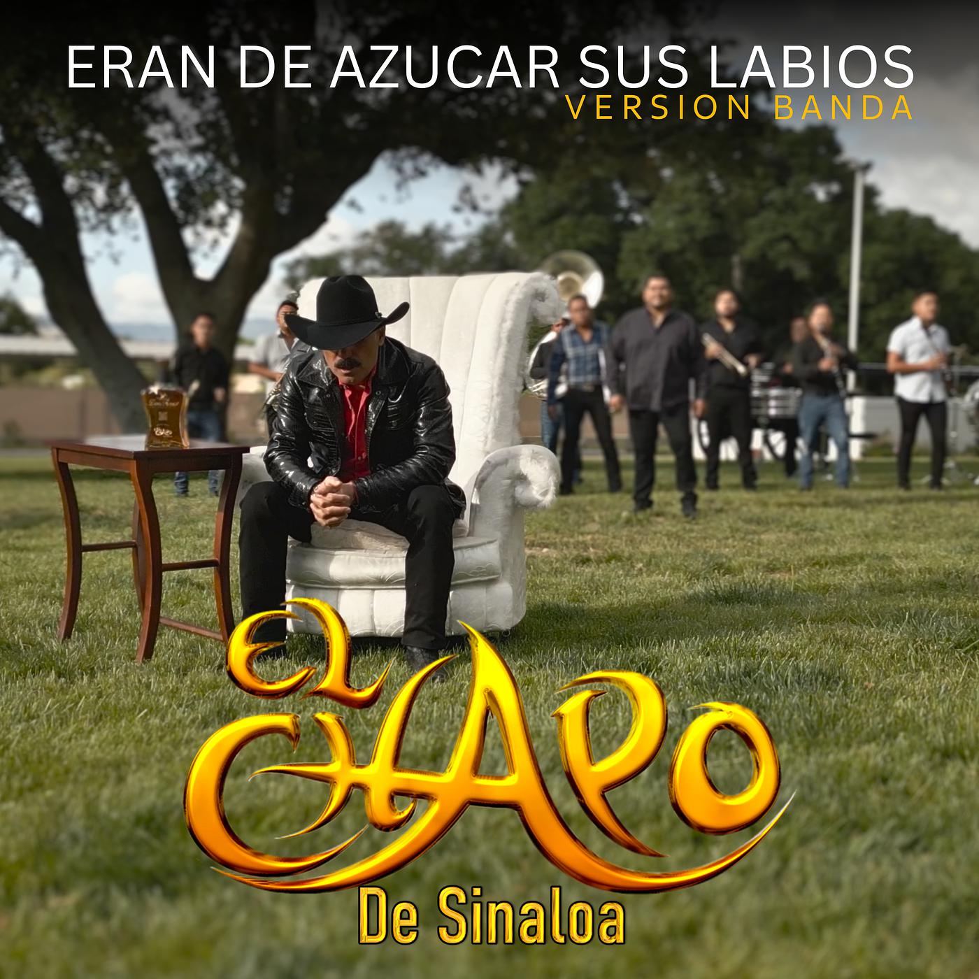 Постер альбома Eran De Azucar Sus Labios (Version Banda)