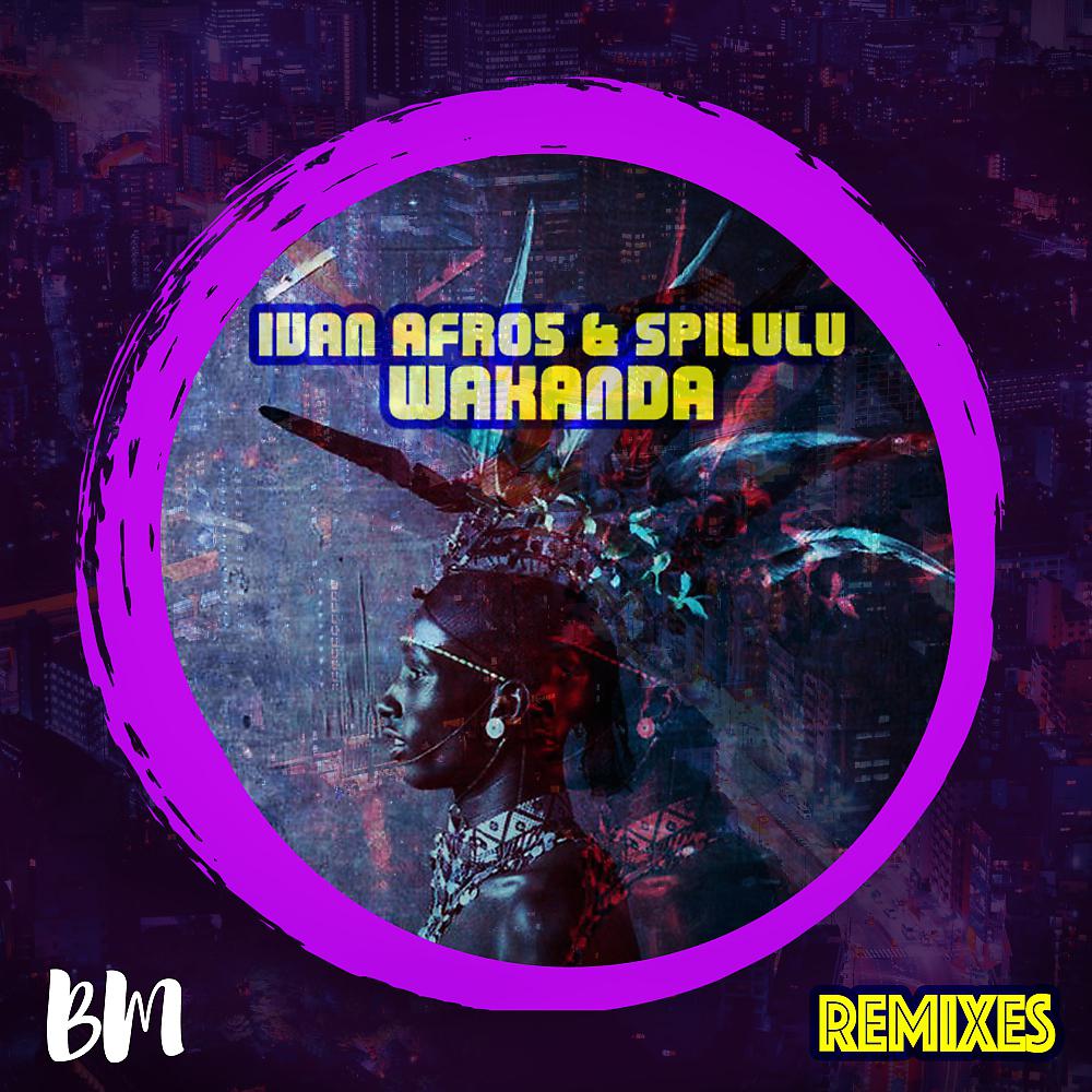Постер альбома Wakanda Remixes