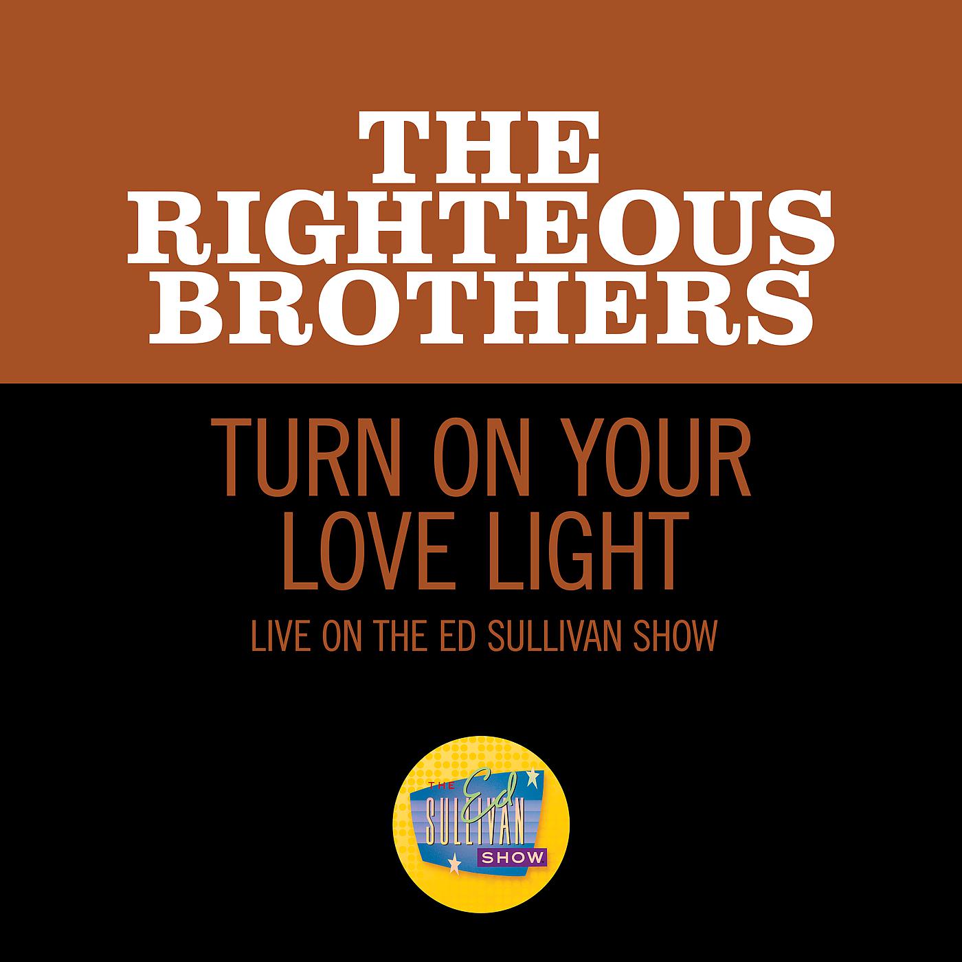 Постер альбома Turn On Your Love Light
