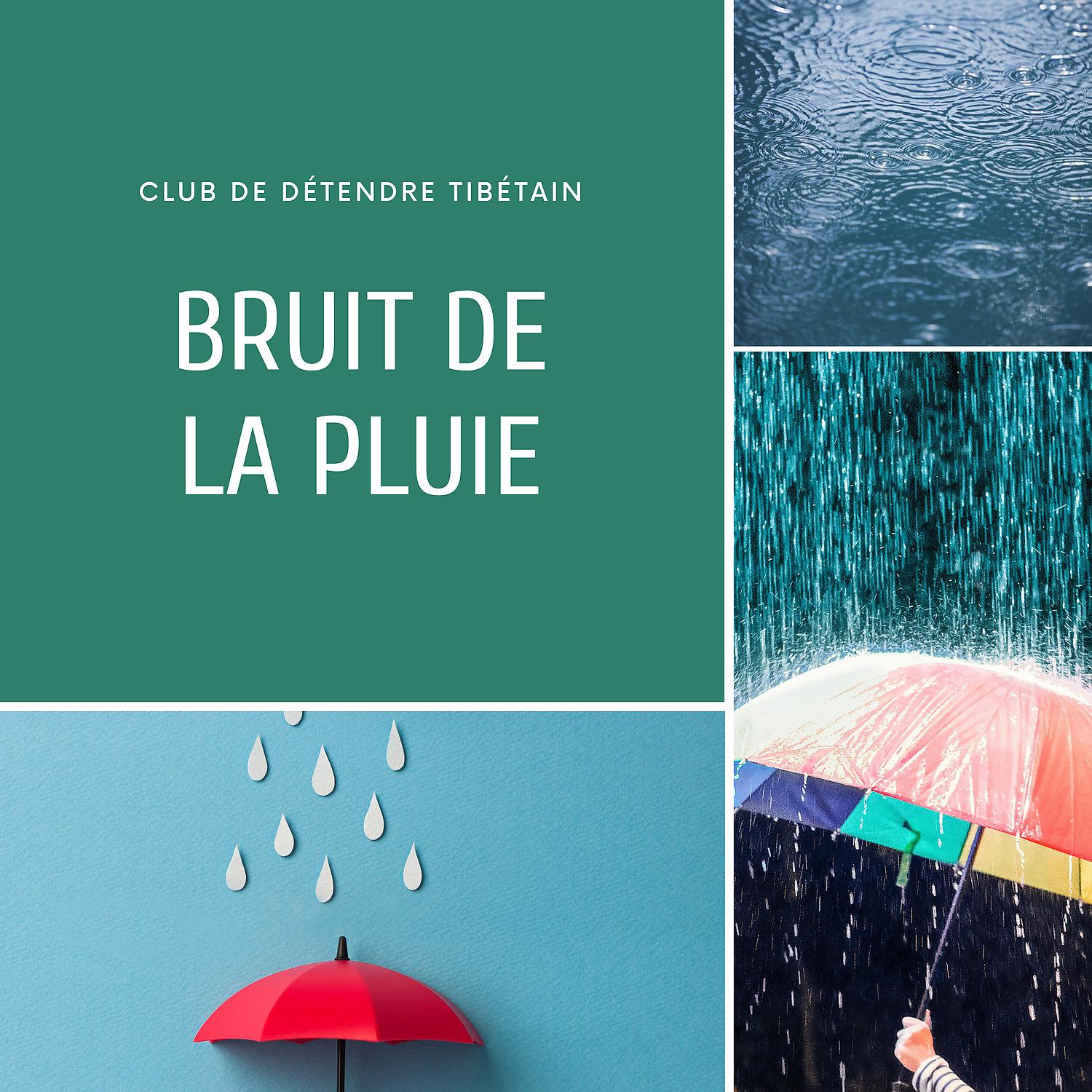 Постер альбома Bruit de la pluie