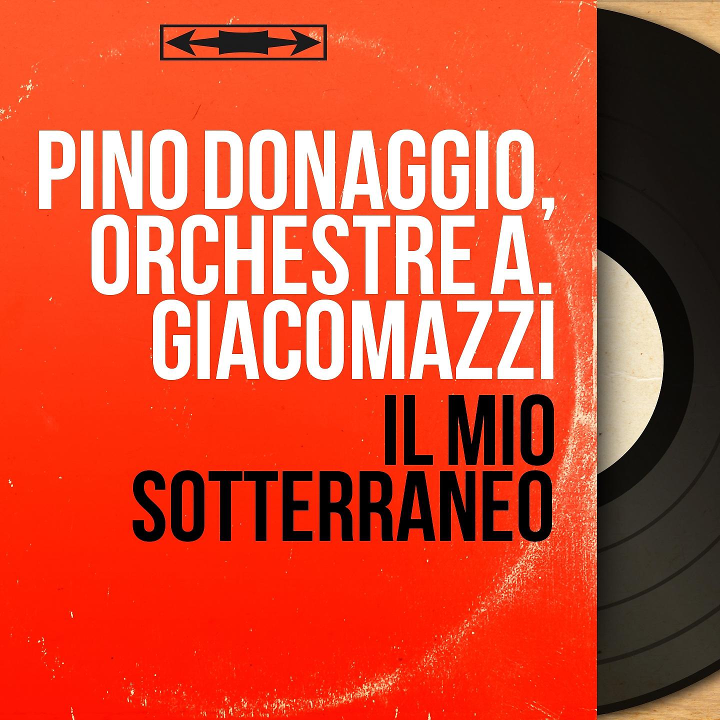 Постер альбома Il mio sotterraneo