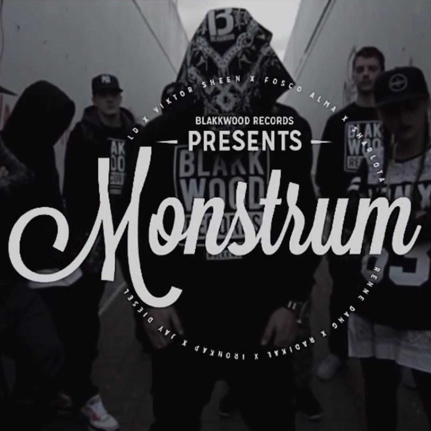 Постер альбома Monstrum (feat. L.D., Viktor Sheen, Fosco Alma, Sharlota, Renne Dang, Radikal, IronKap & Jay Diesel)