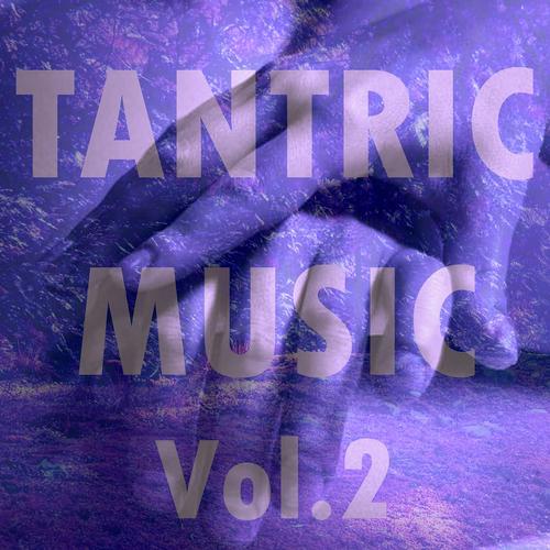 Постер альбома Tantric Music, Vol. 2
