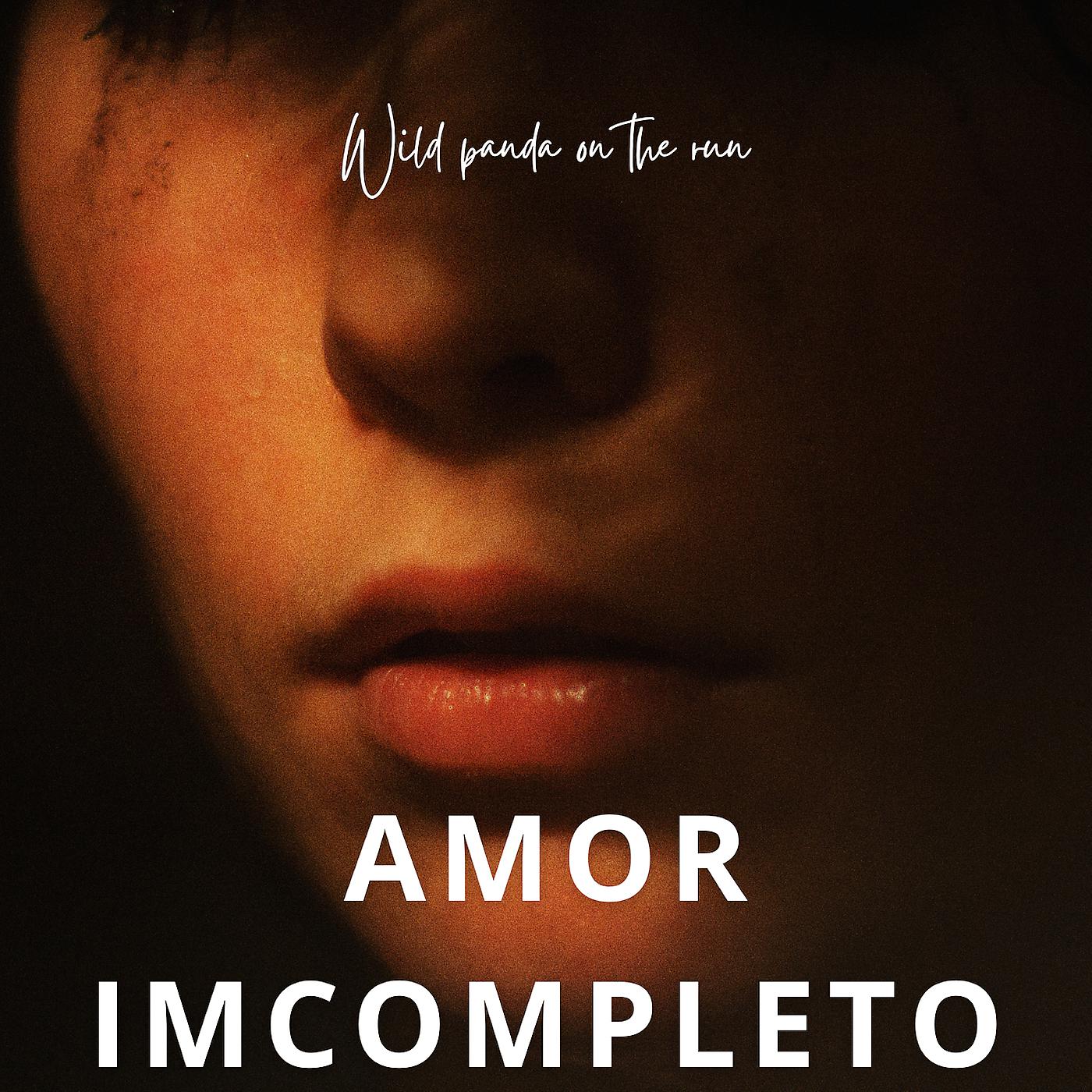 Постер альбома Amor Incompleto