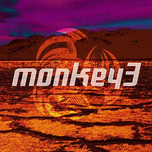Постер альбома Monkey3