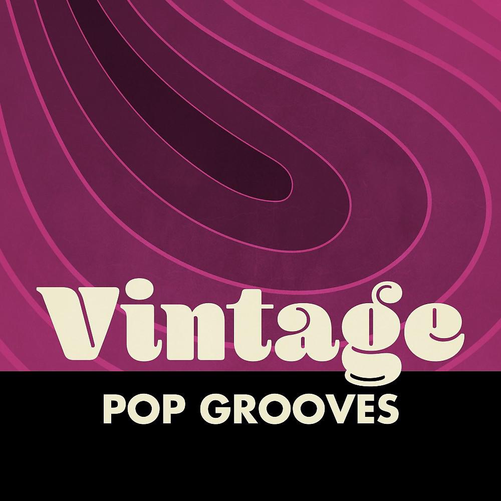 Постер альбома Vintage Pop Grooves